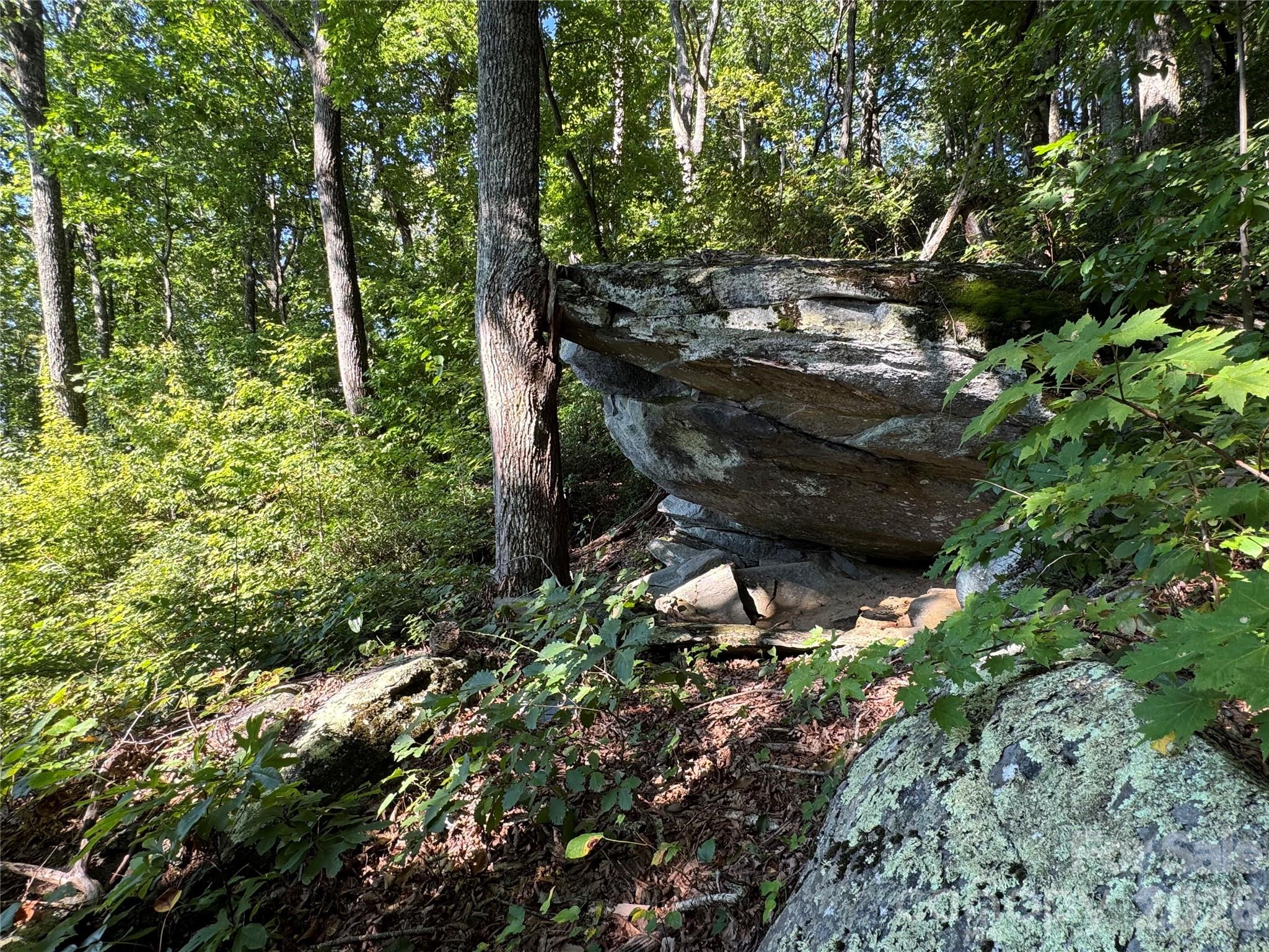 main property photo 13