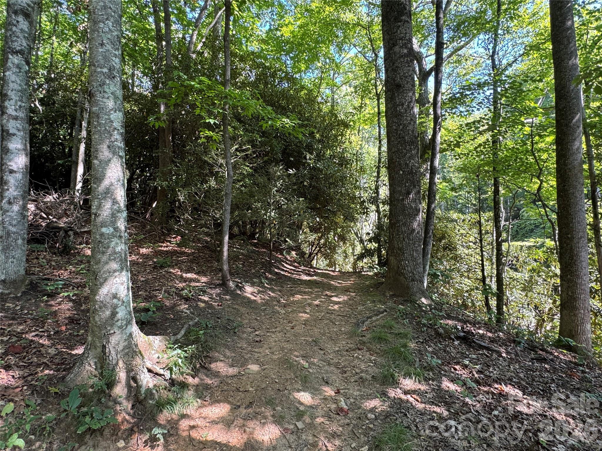 main property photo 16