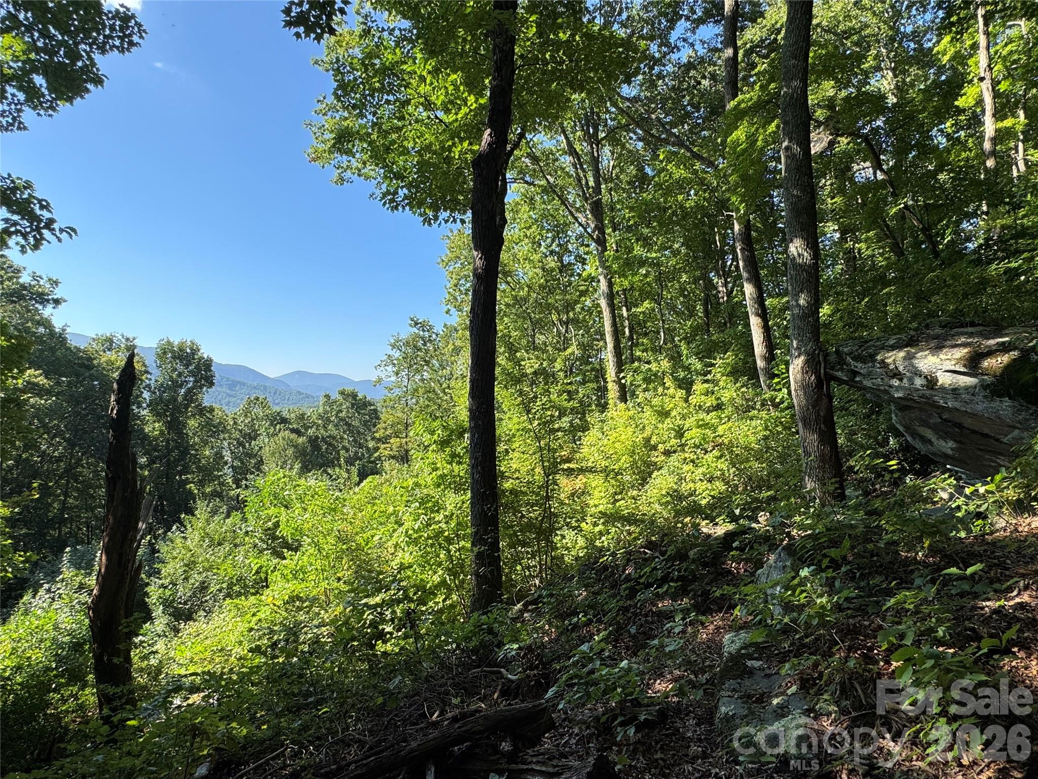 main property photo 44