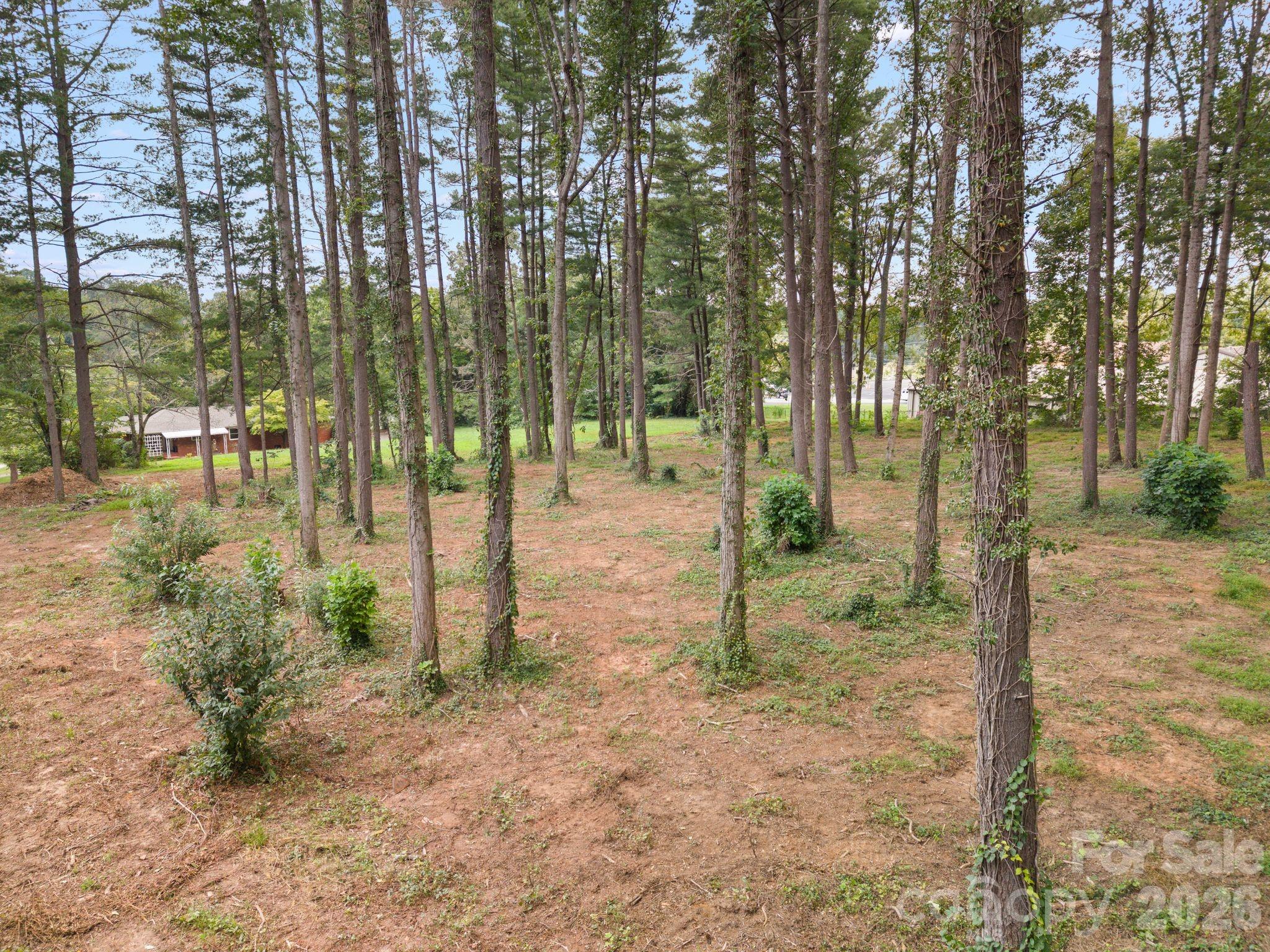 main property photo 40