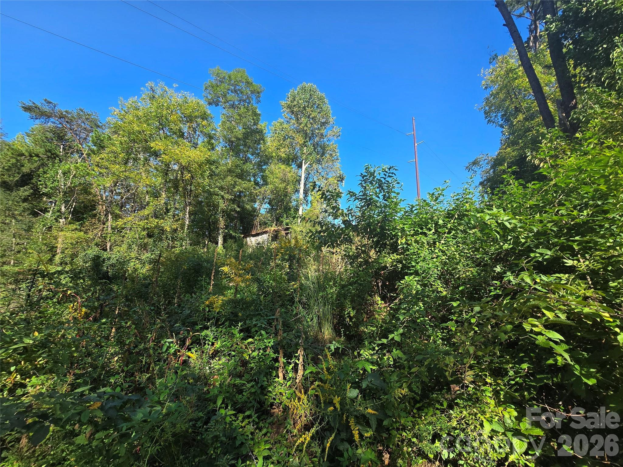 main property photo 11