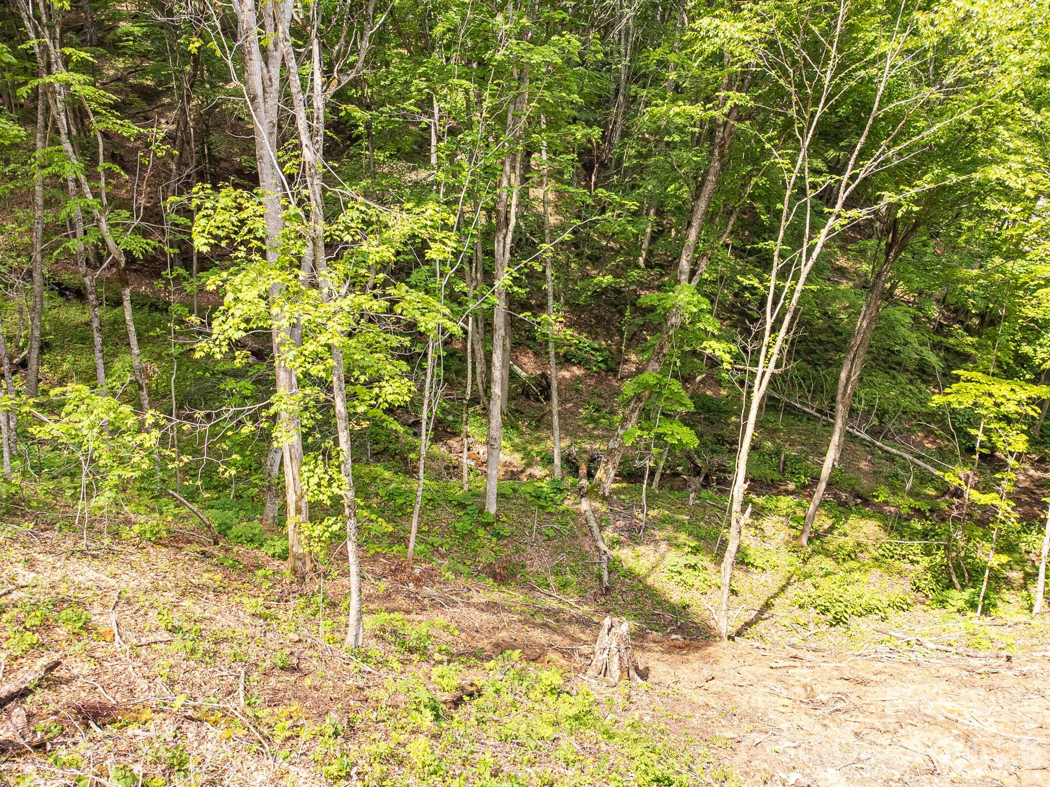 main property photo 20