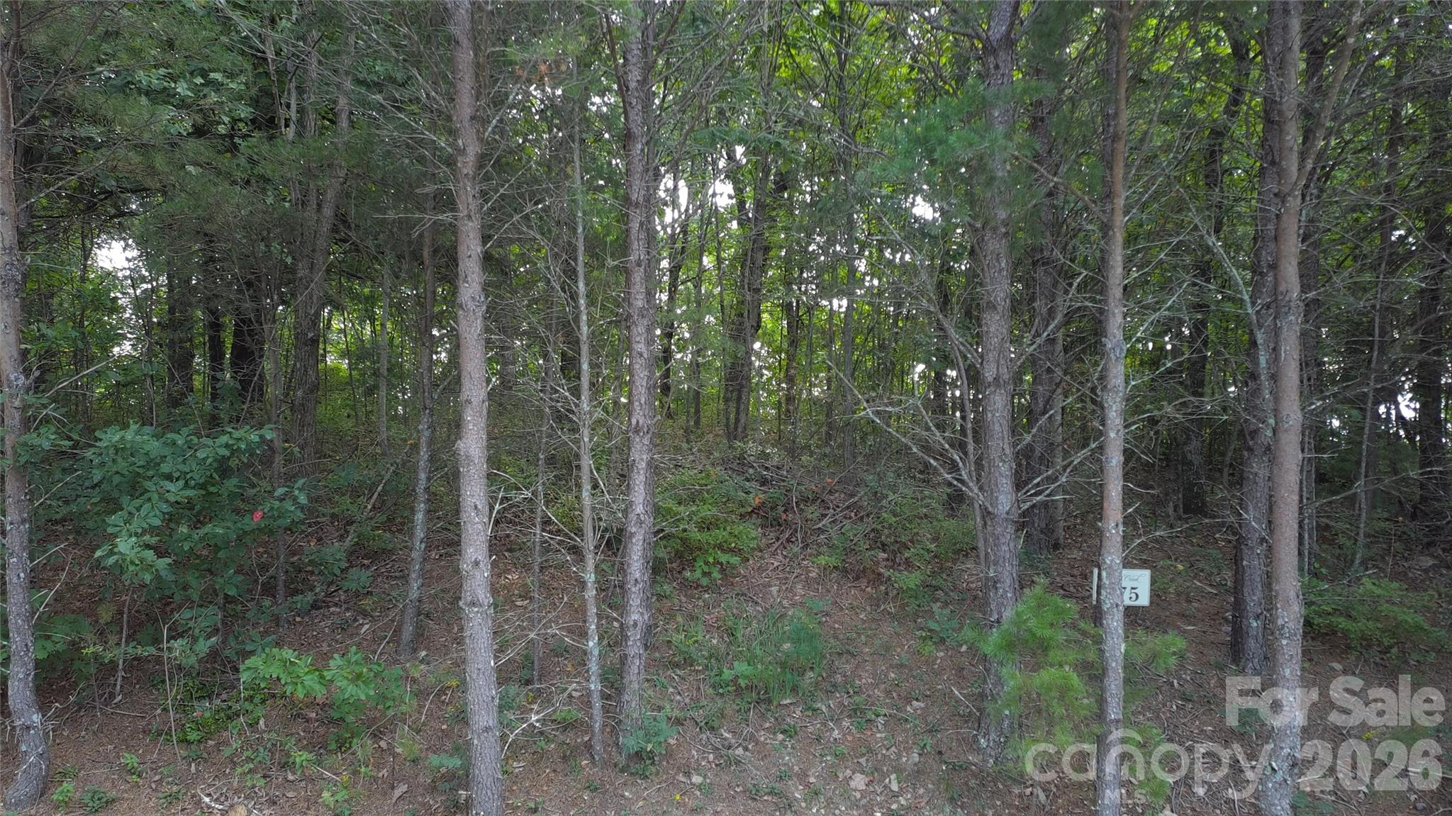 main property photo 25