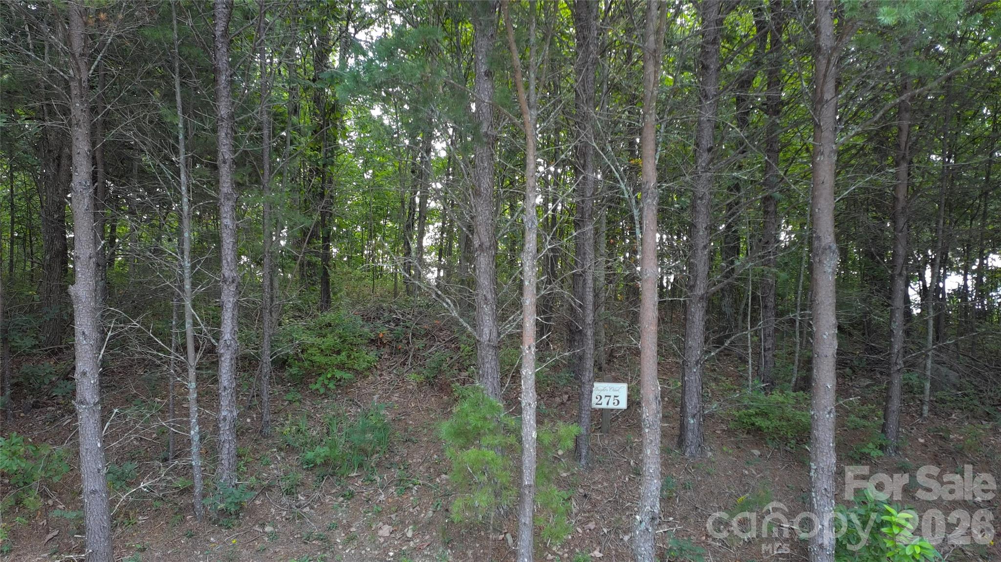 main property photo 26
