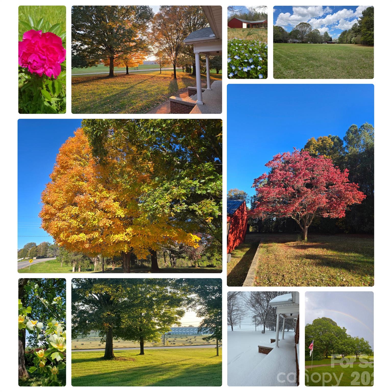main property photo 39