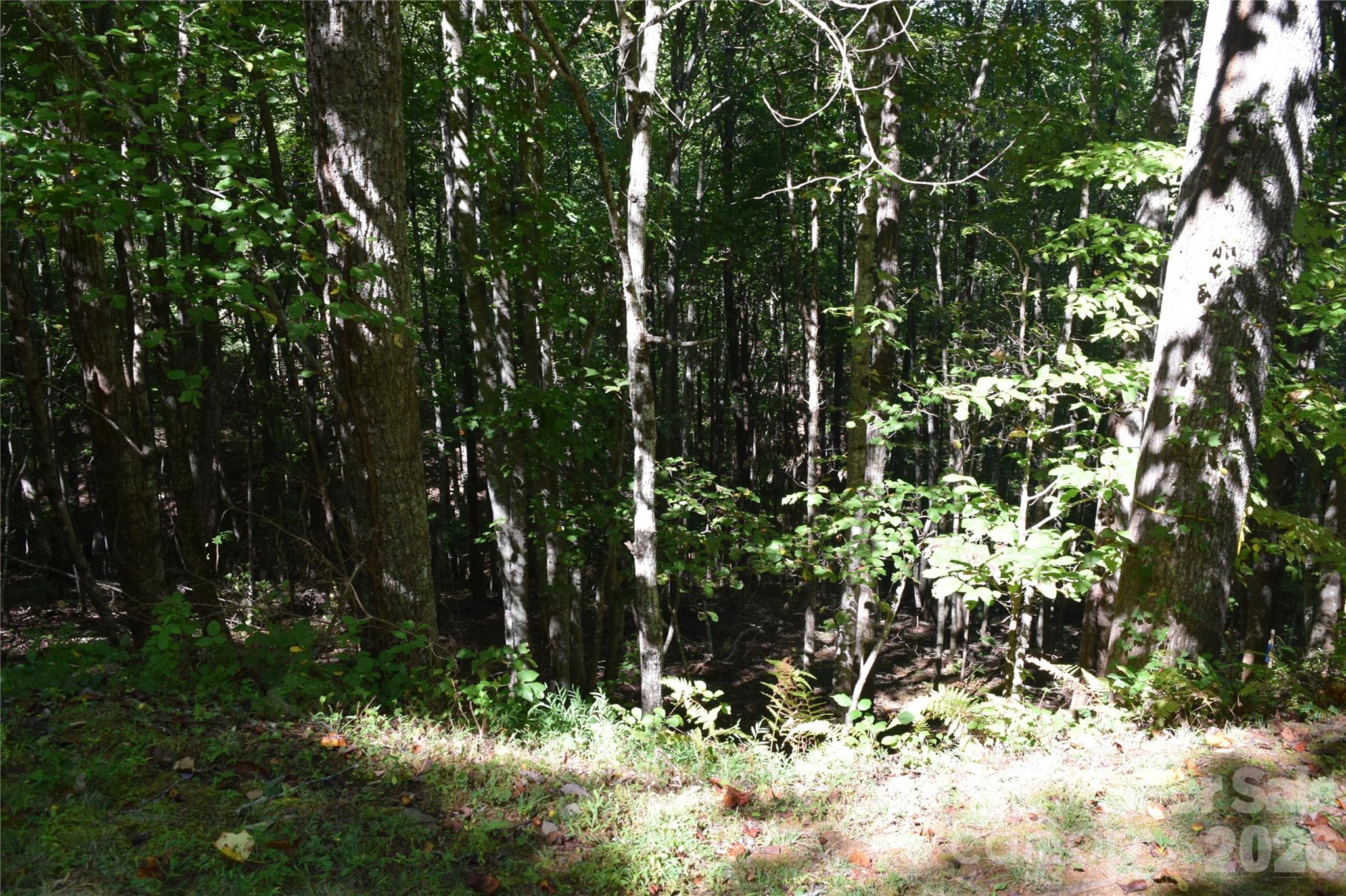 main property photo 11