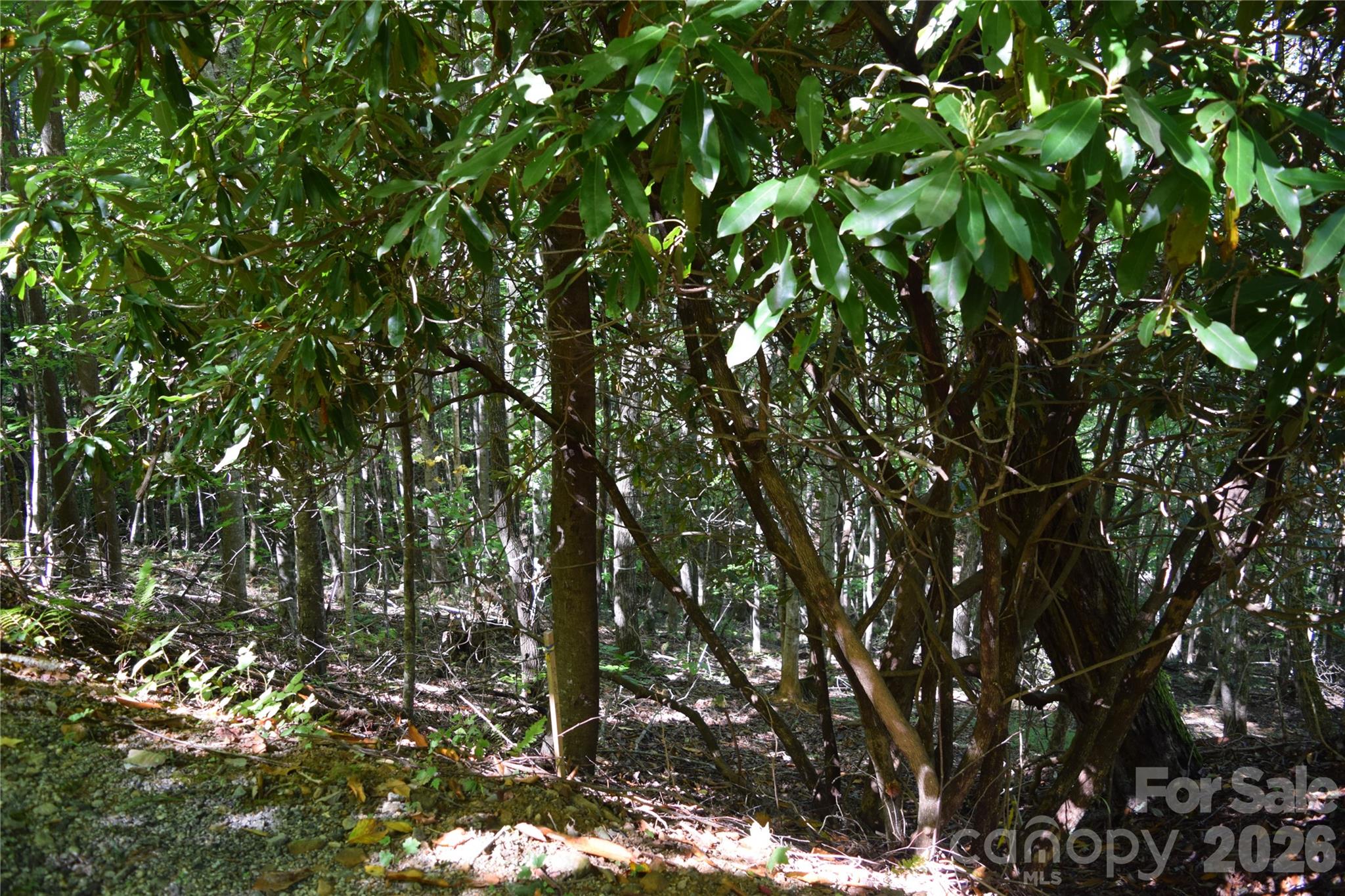 main property photo 14