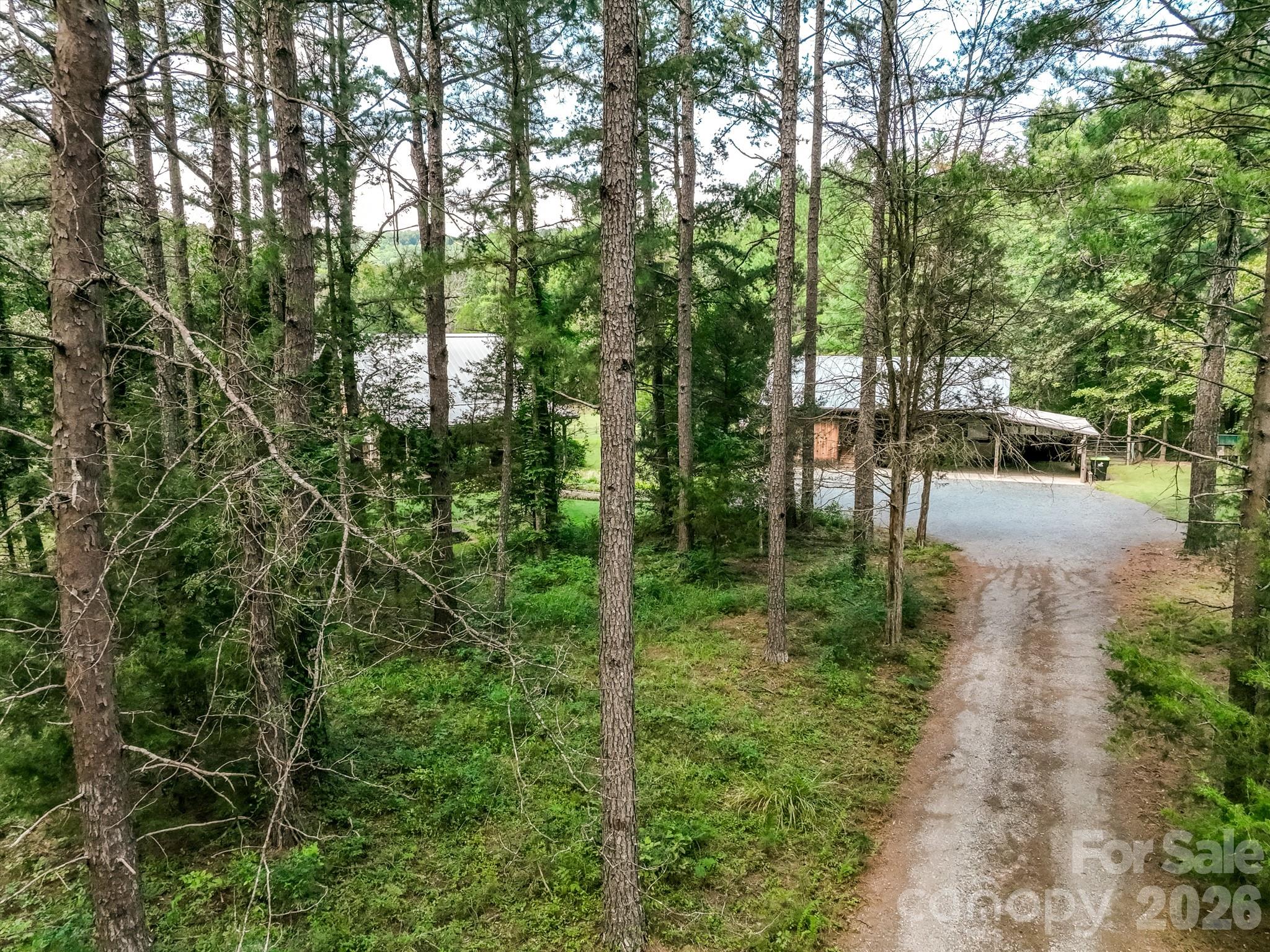 main property photo 41