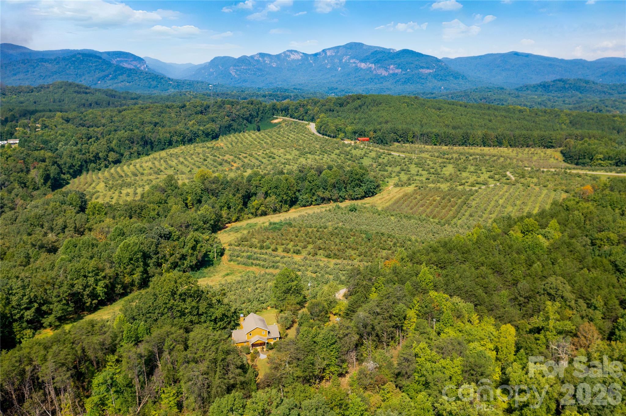 main property photo 26
