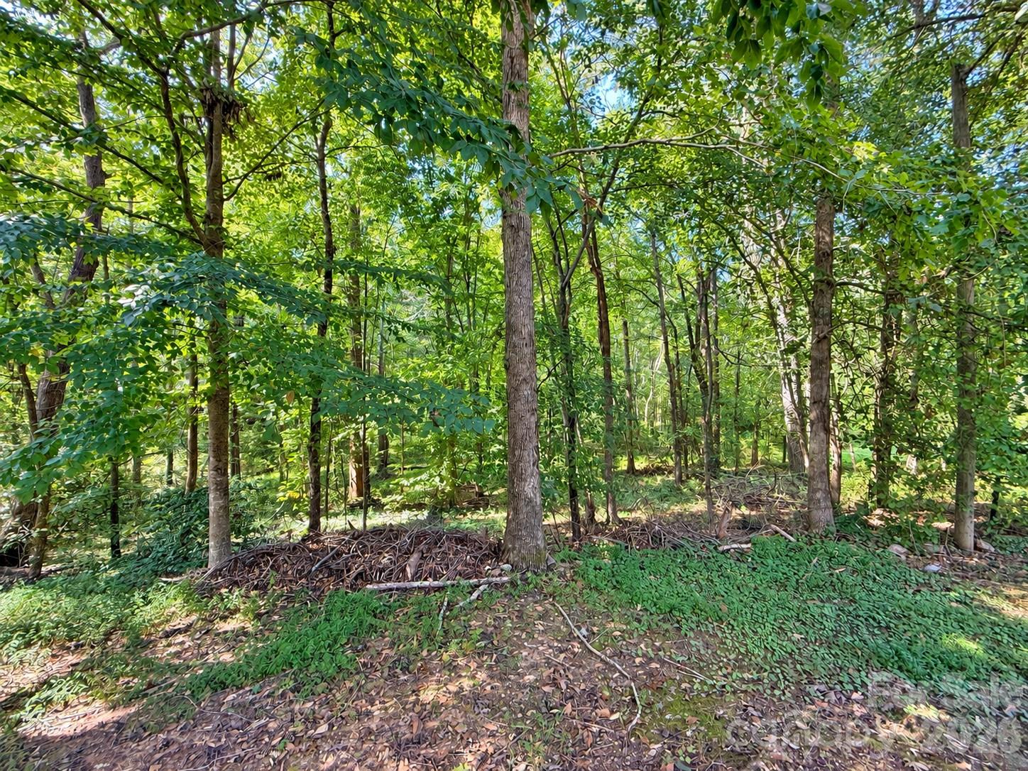 main property photo 40