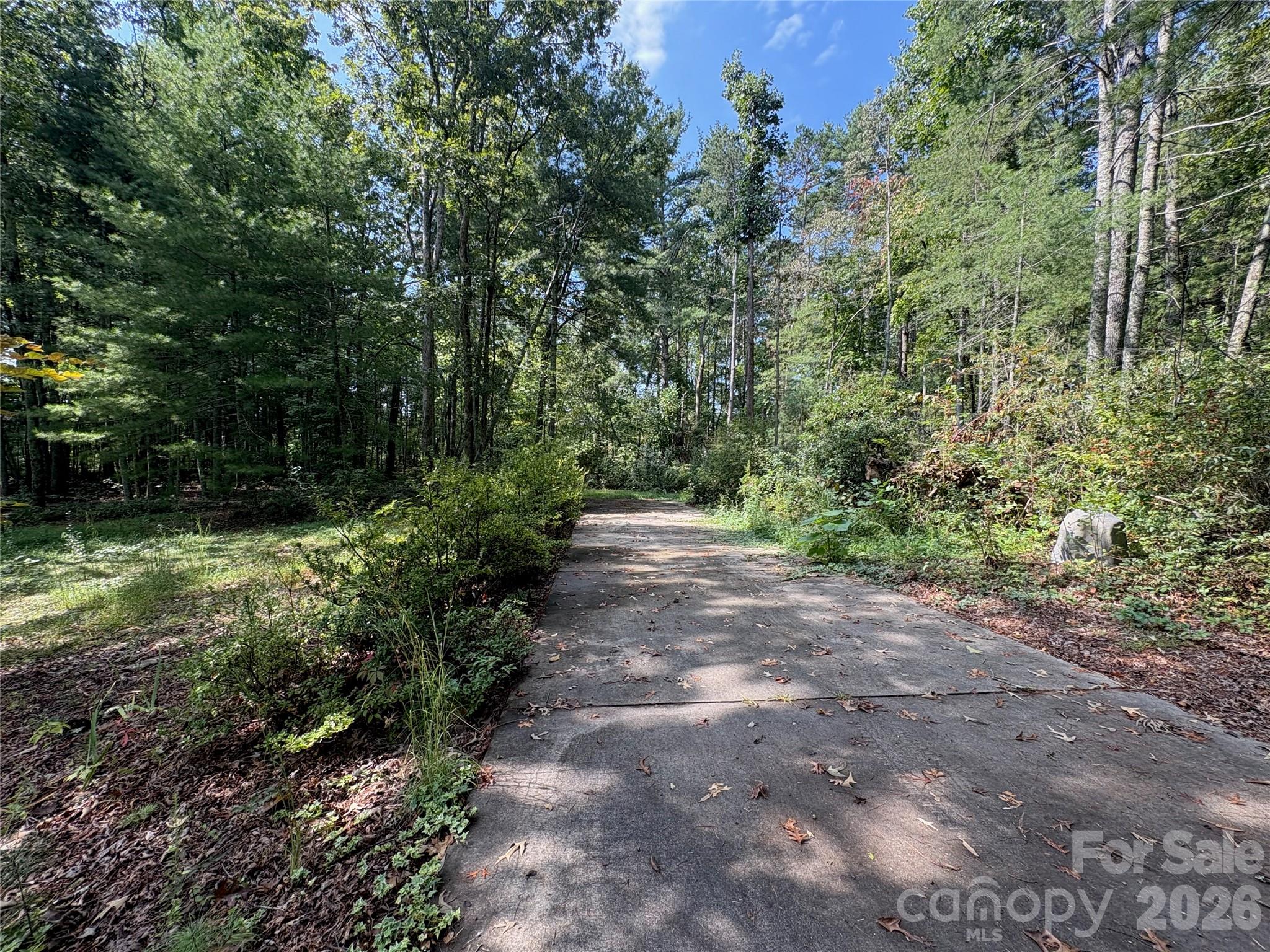 main property photo 33