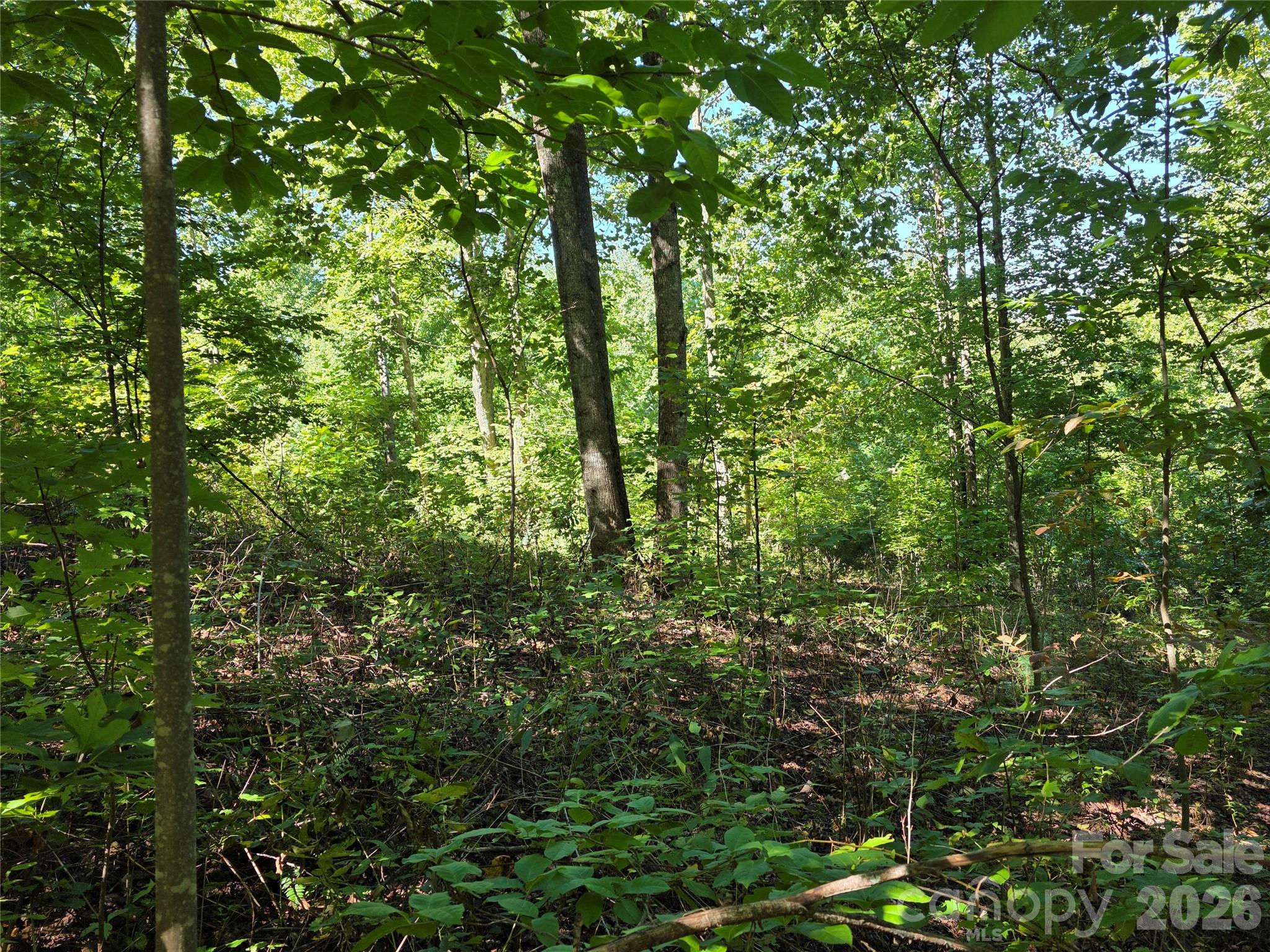 main property photo 11