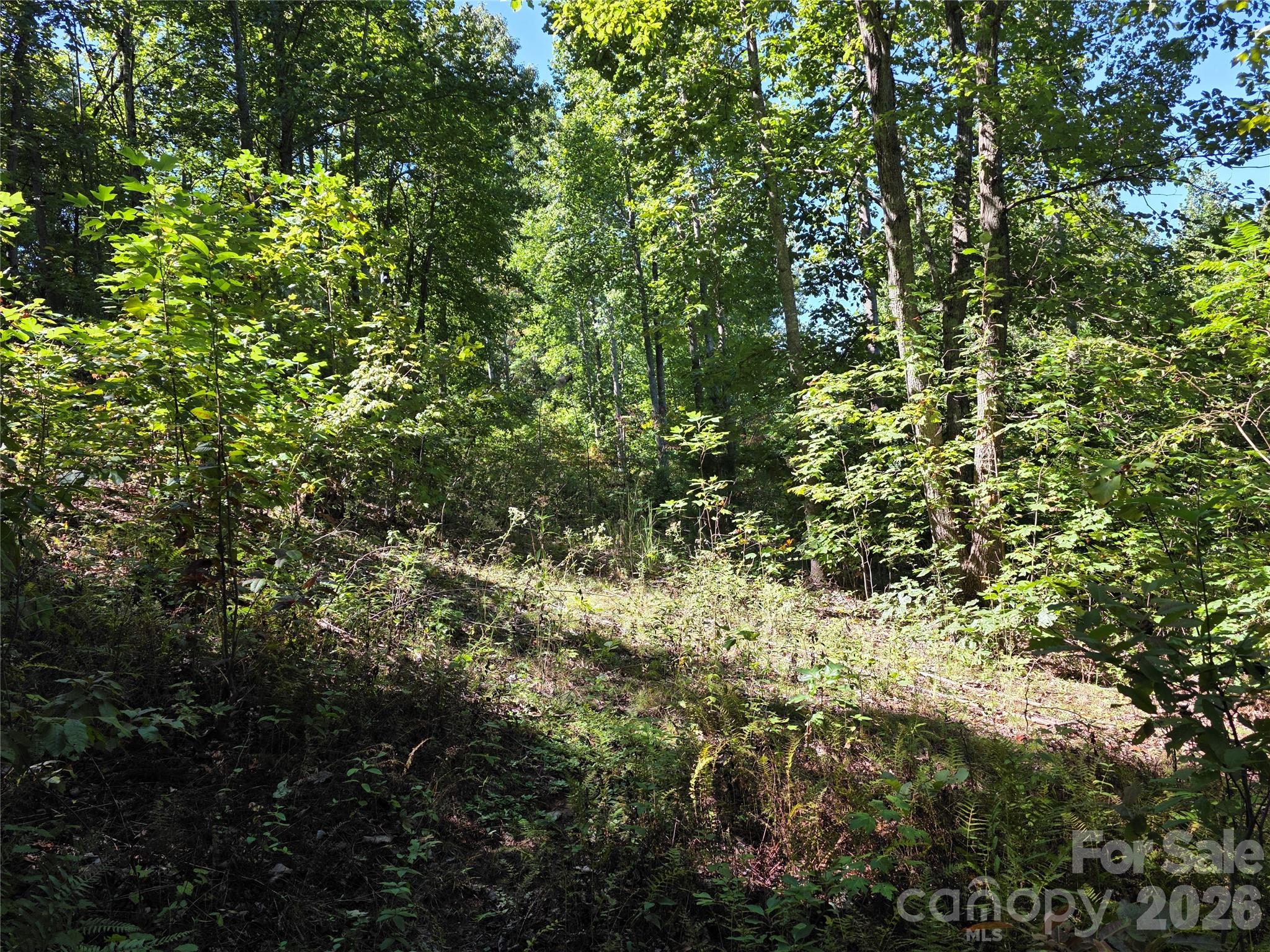 main property photo 12