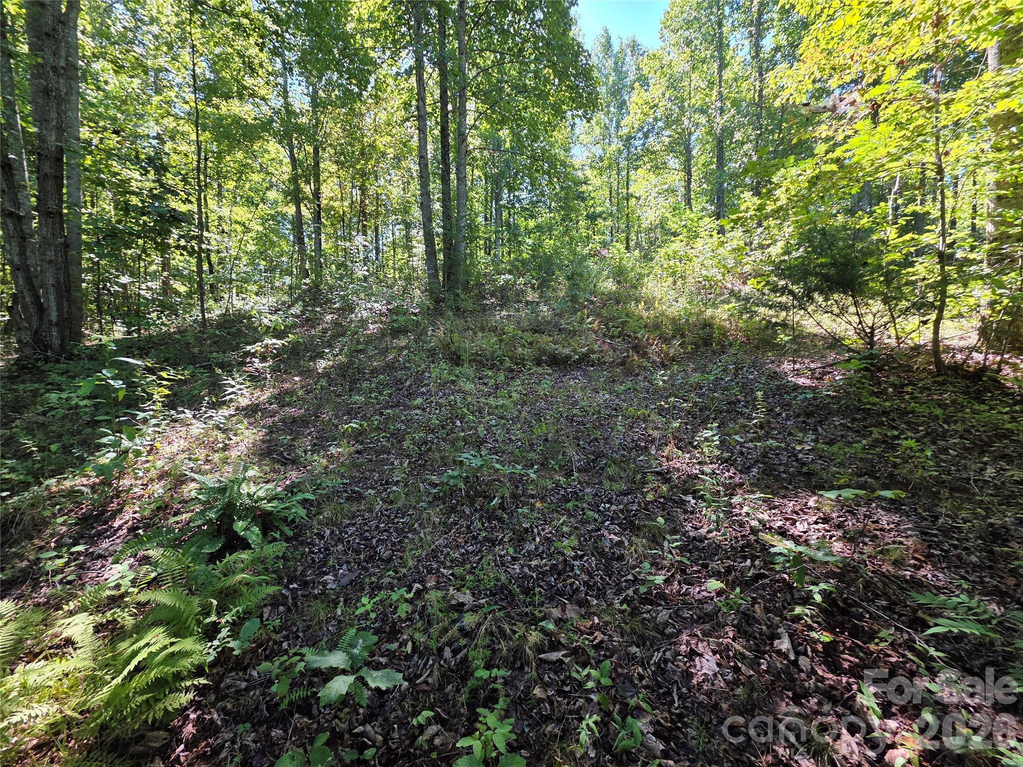 main property photo 17