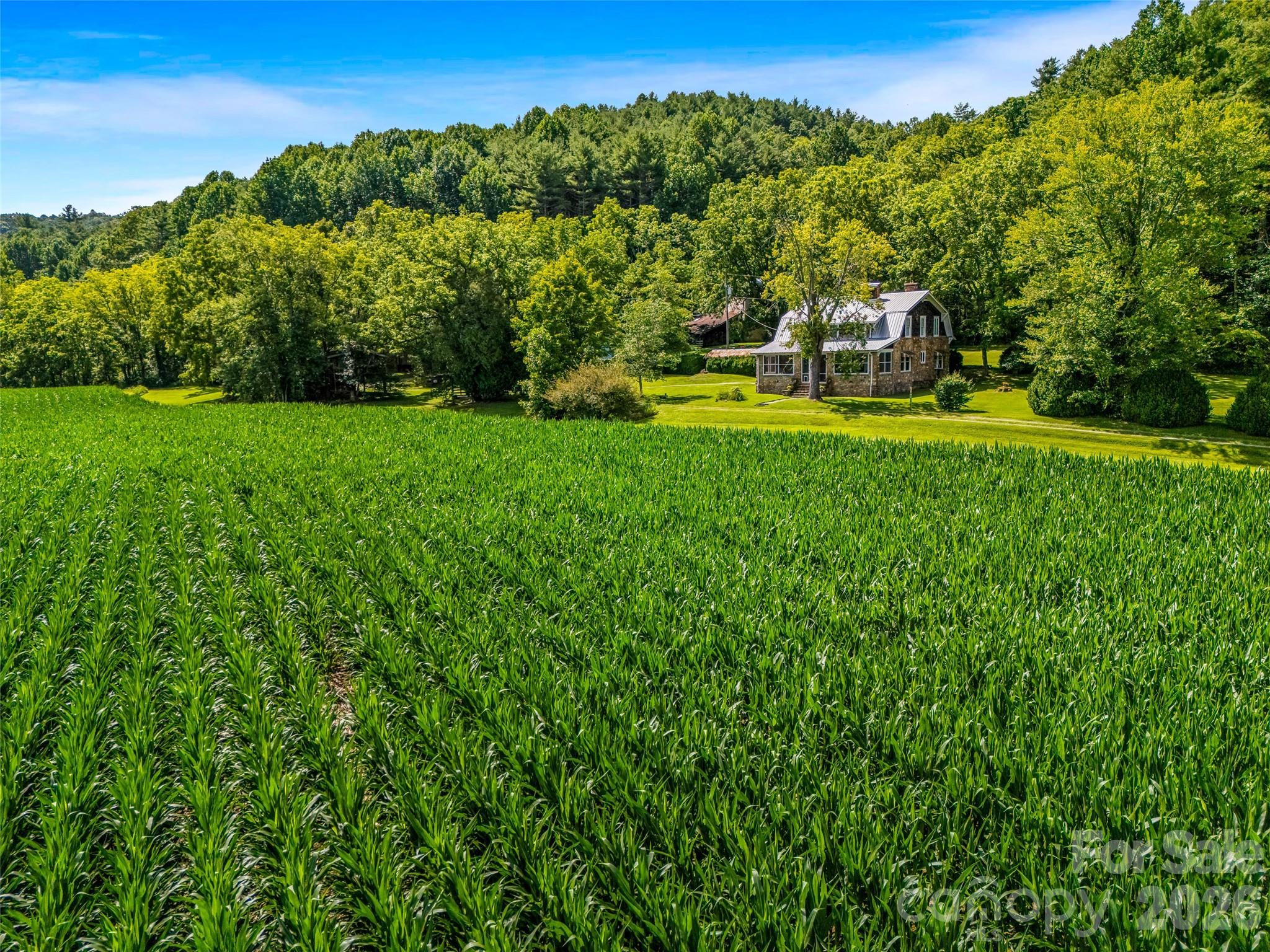 main property photo 11