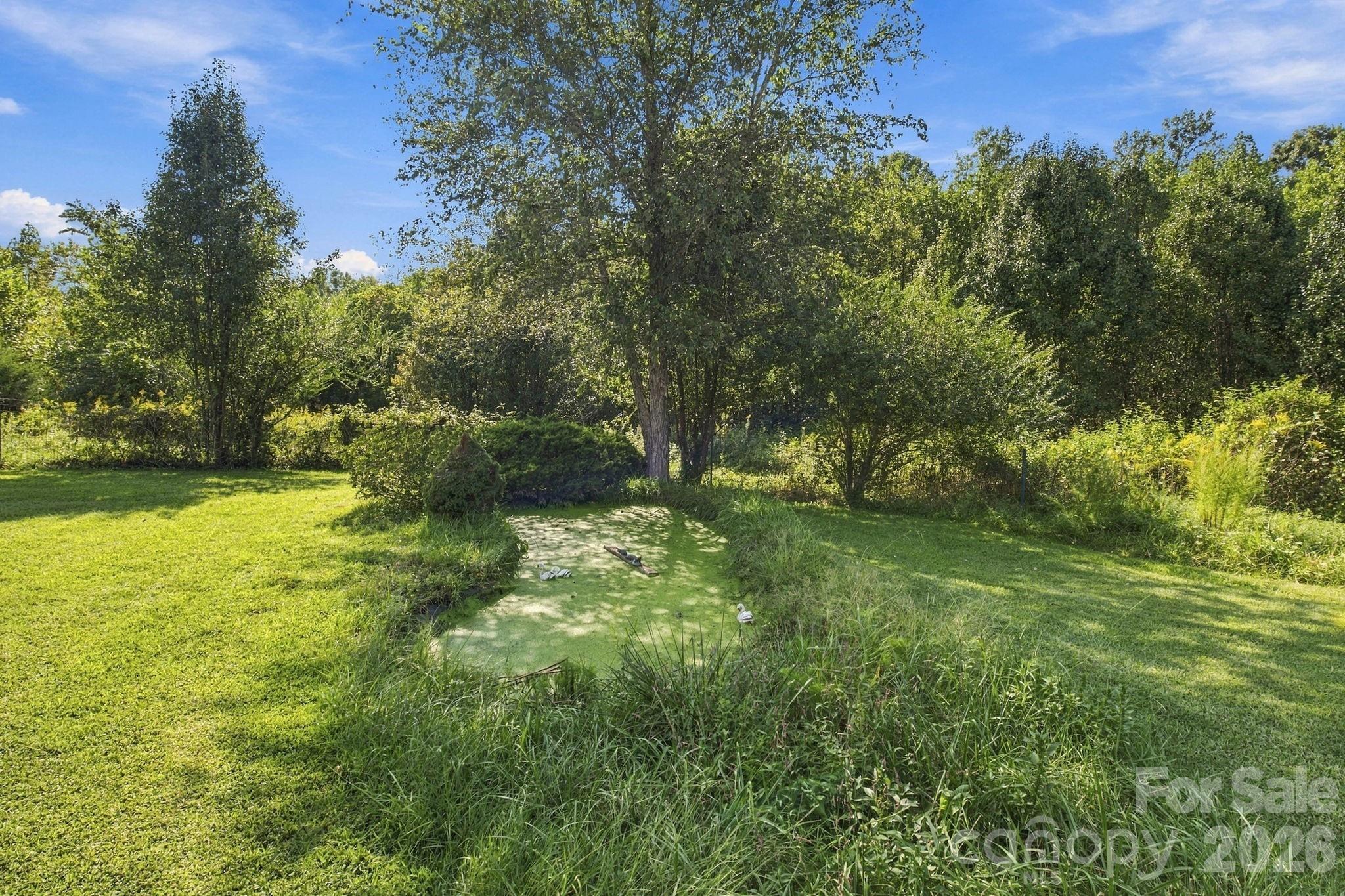 main property photo 38