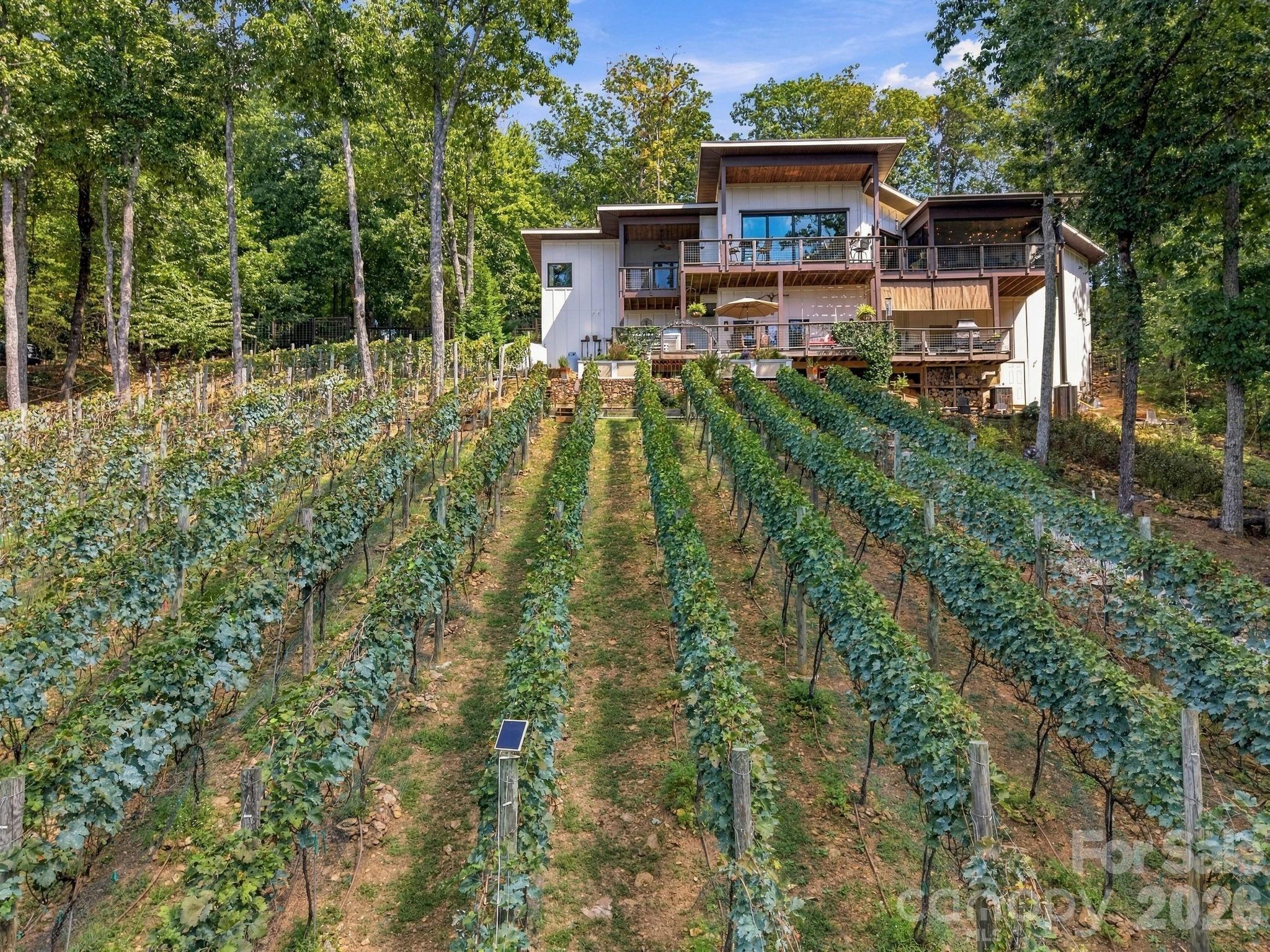 main property photo 36