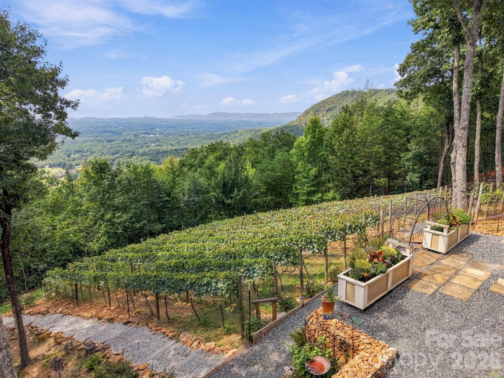 main property photo 46