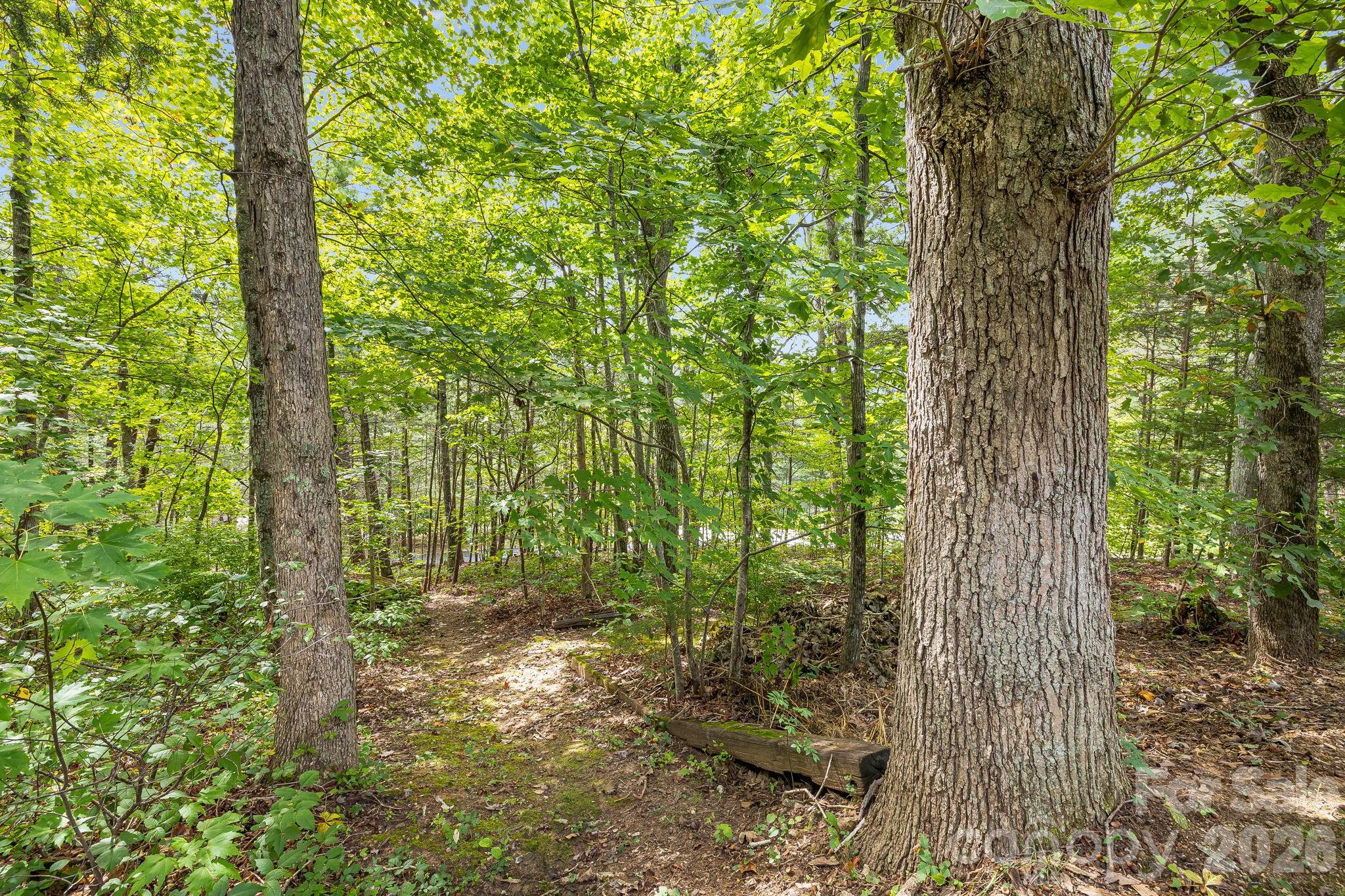 main property photo 39