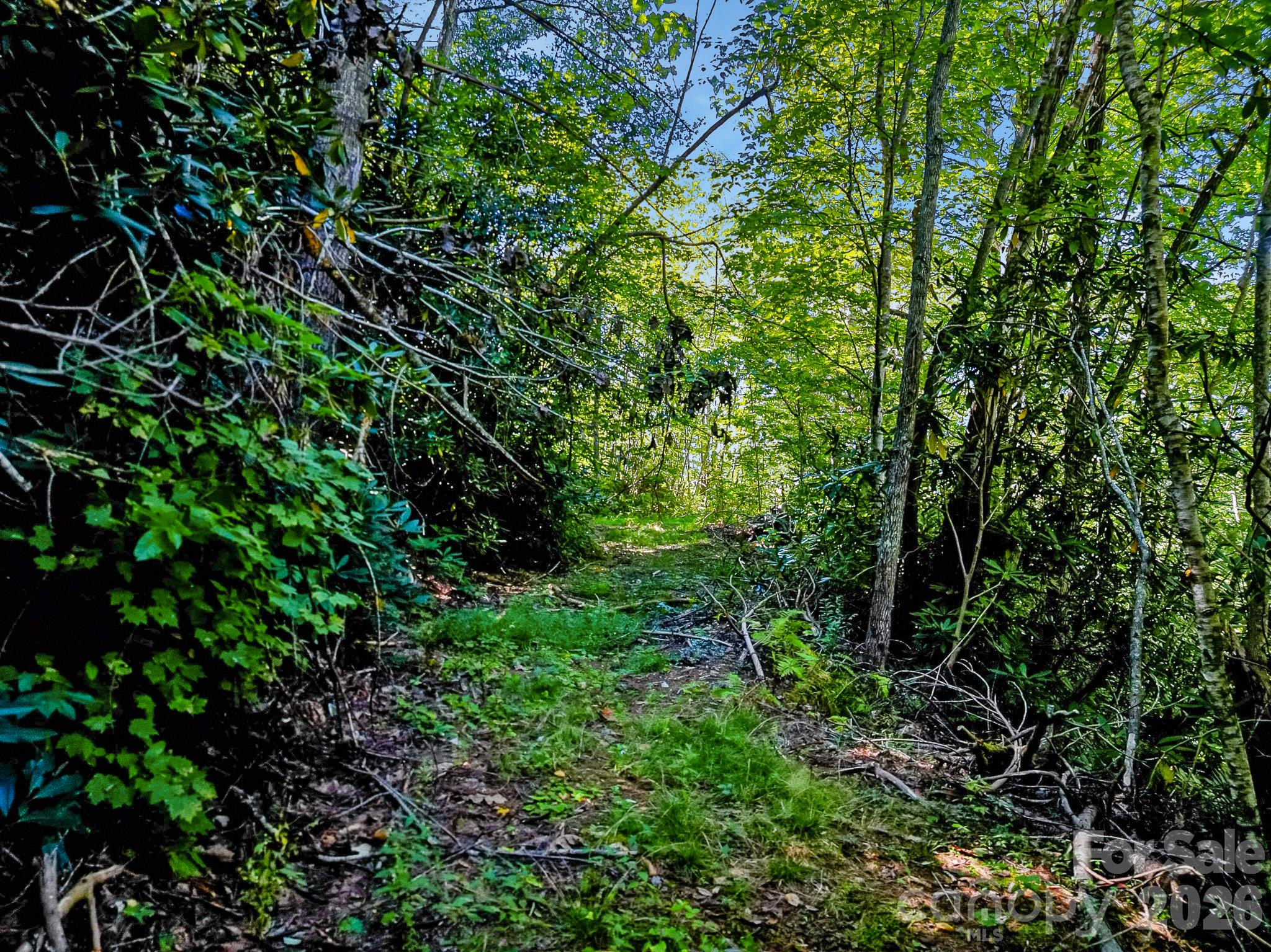 main property photo 25
