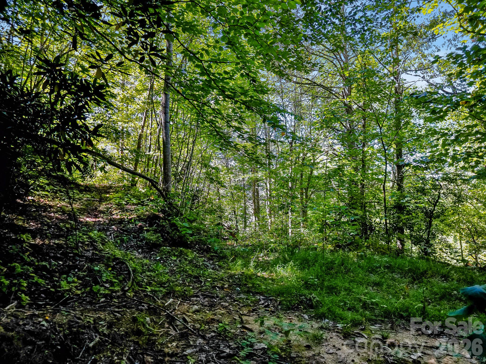 main property photo 26