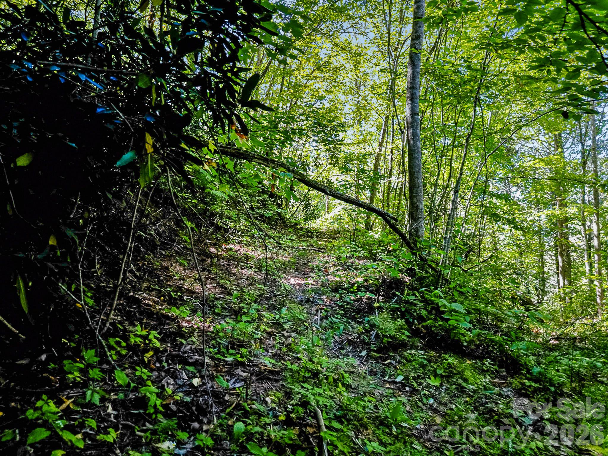 main property photo 27