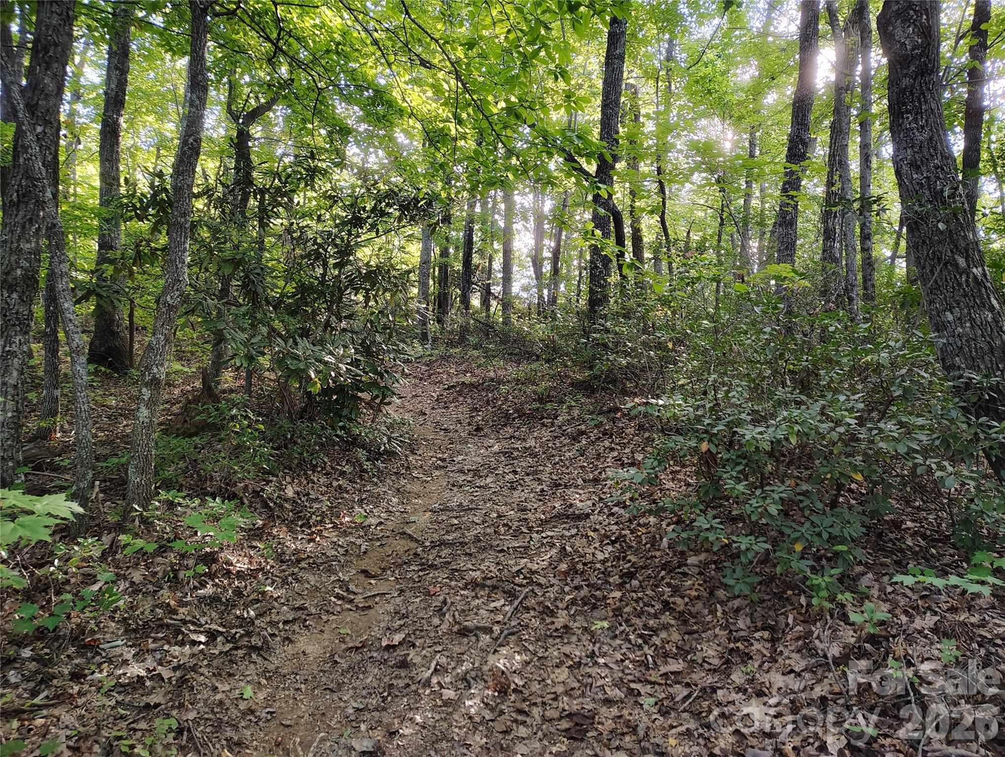main property photo 12
