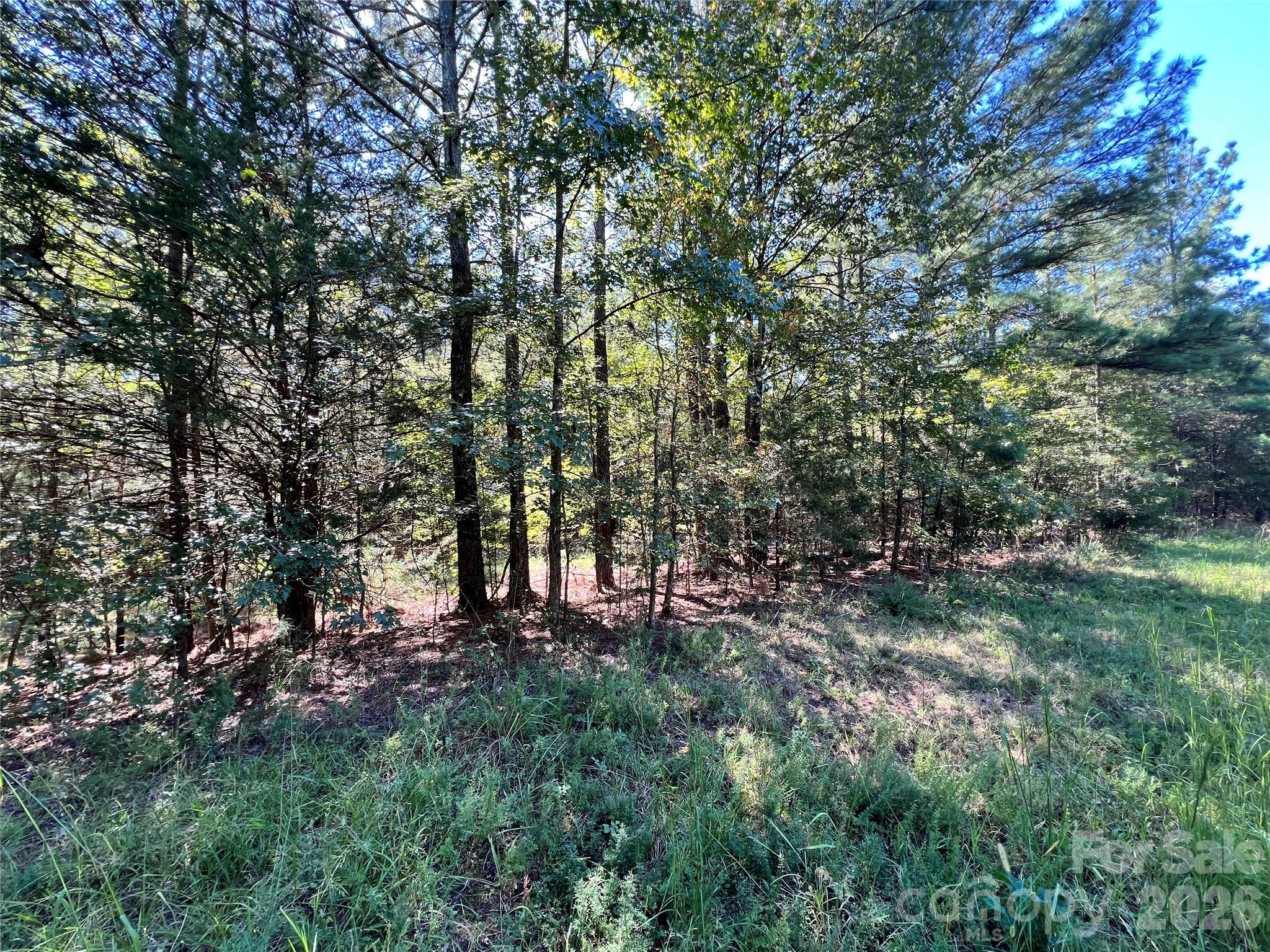 main property photo 11