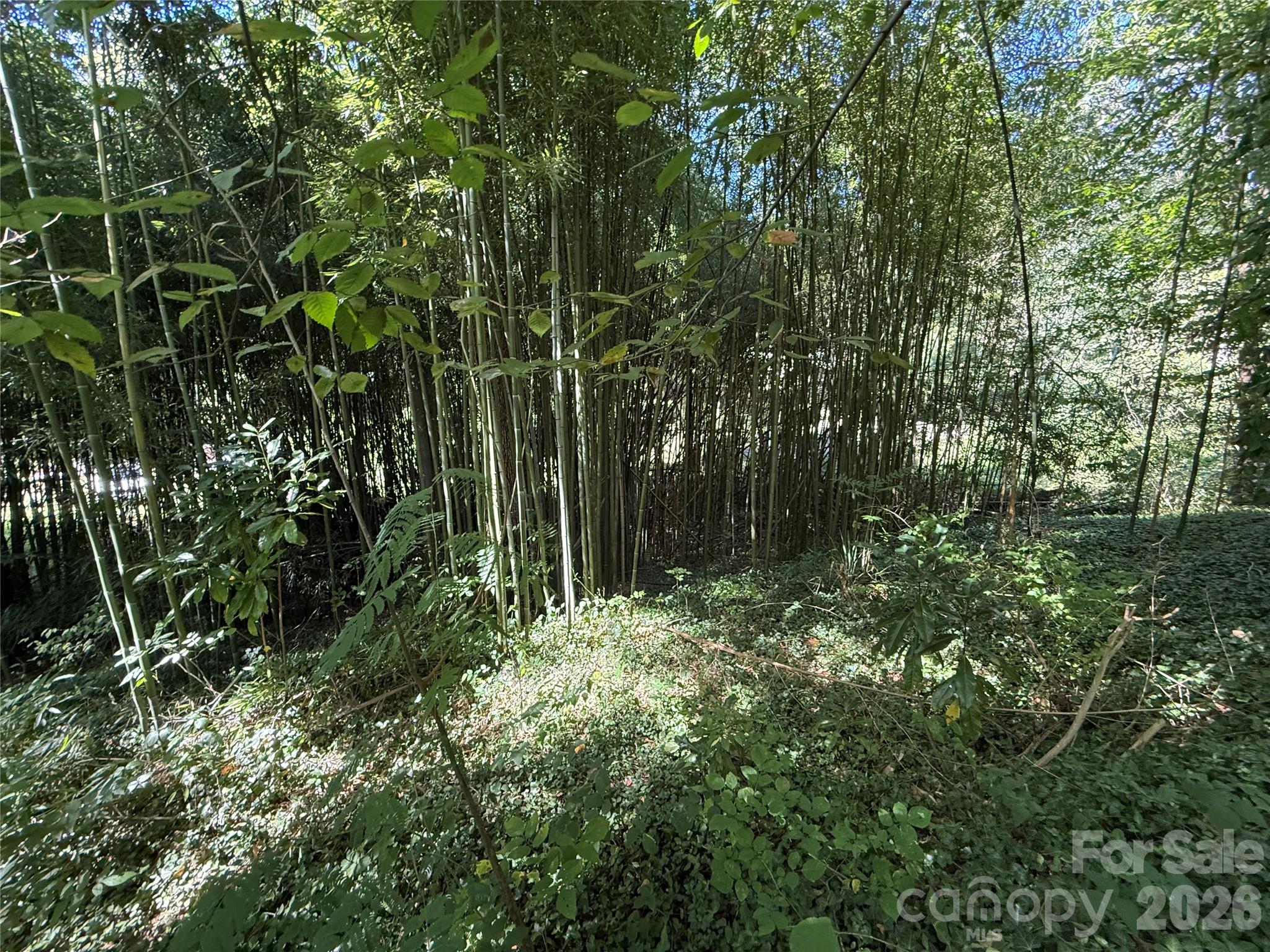 main property photo 11