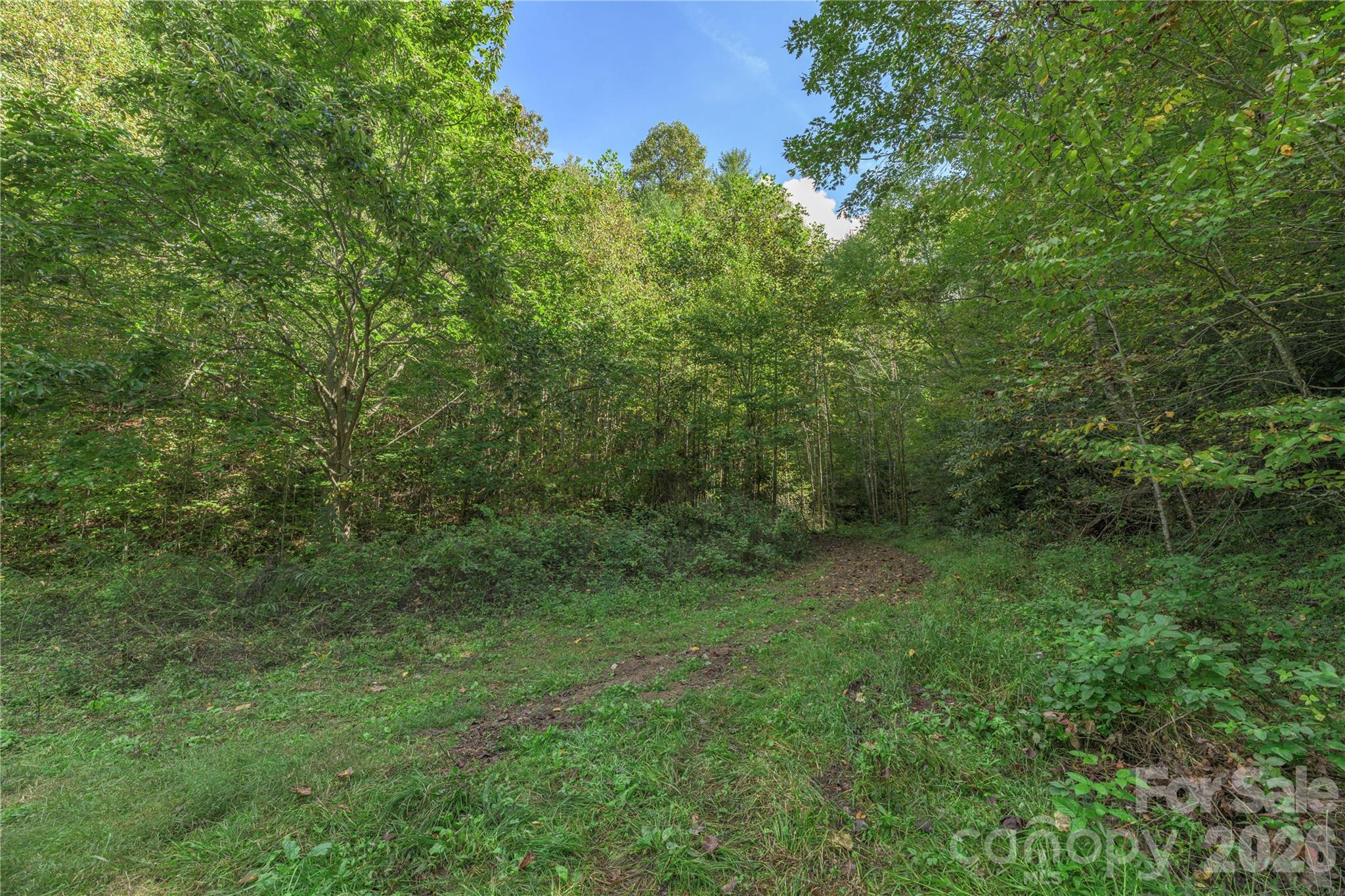 main property photo 11