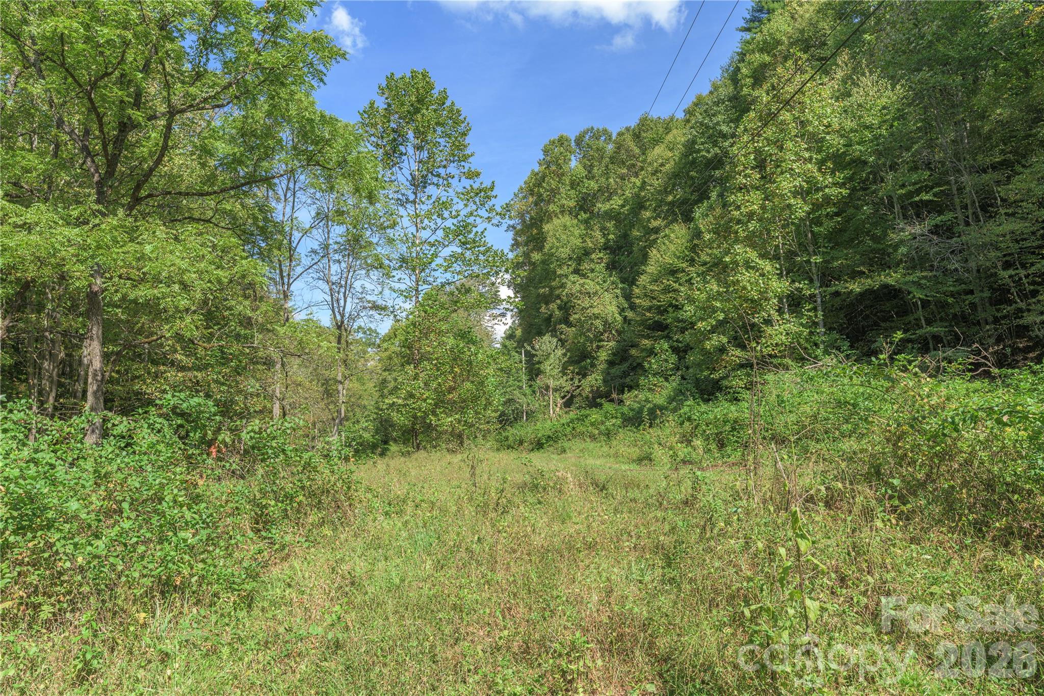 main property photo 7