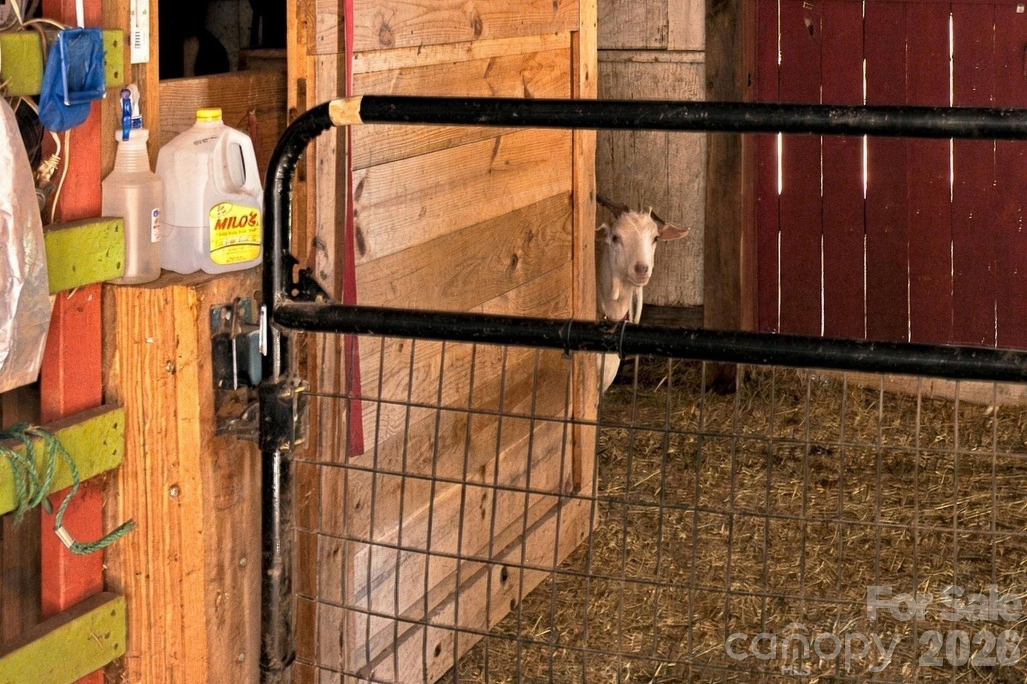 main property photo 35