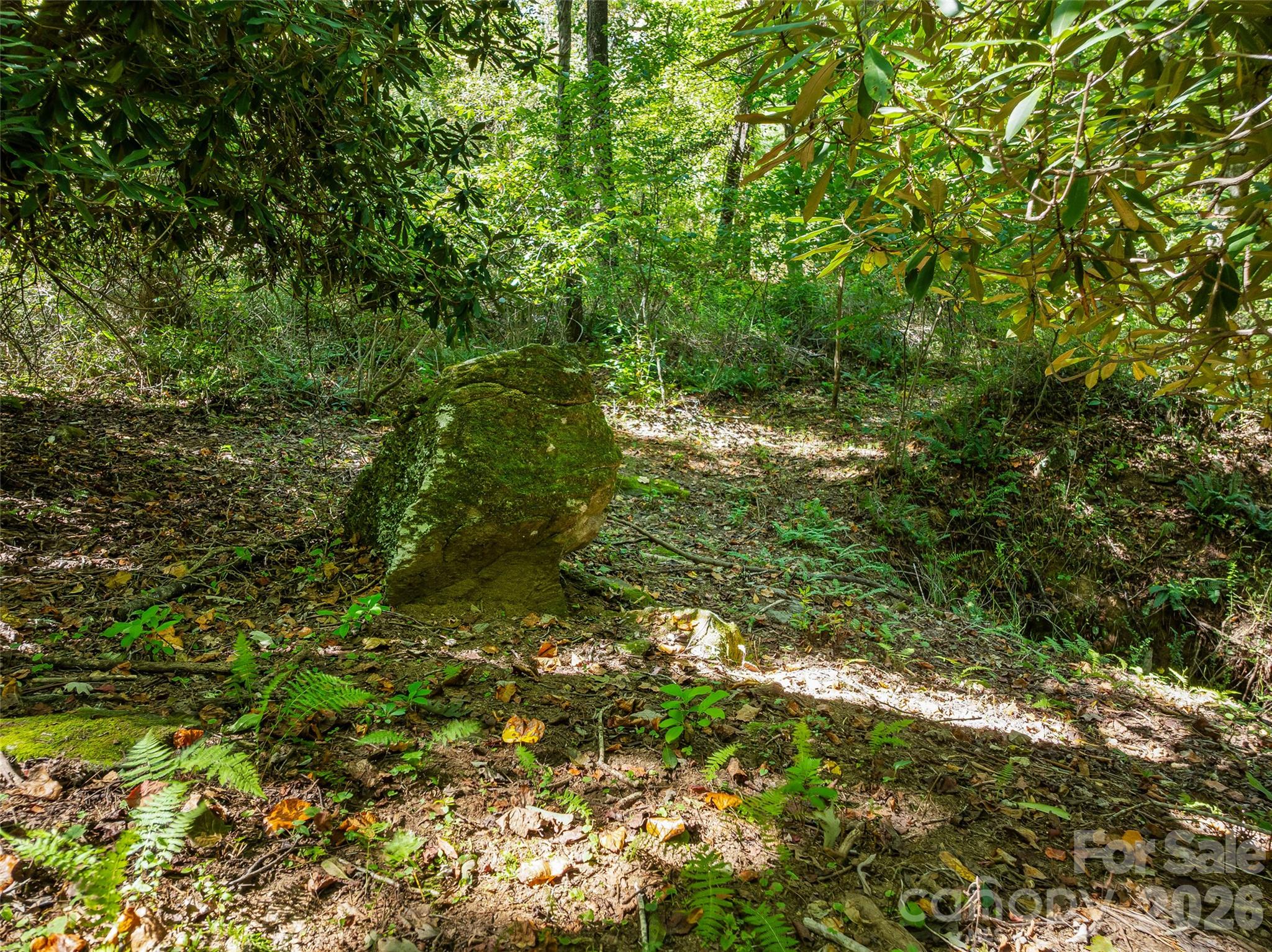 main property photo 17