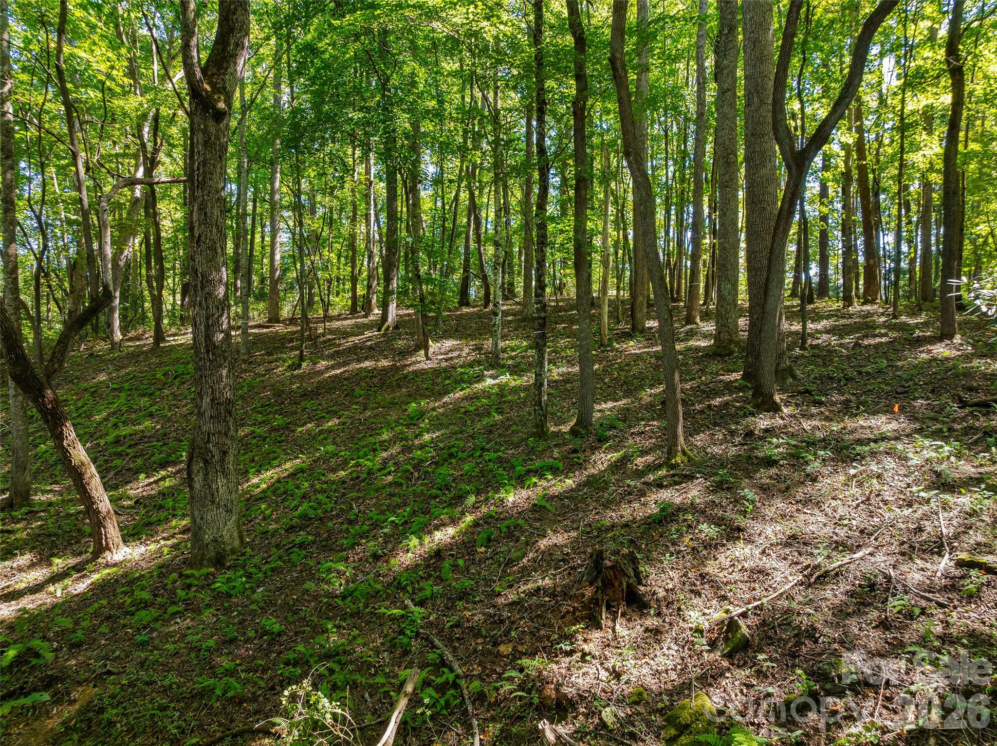main property photo 25