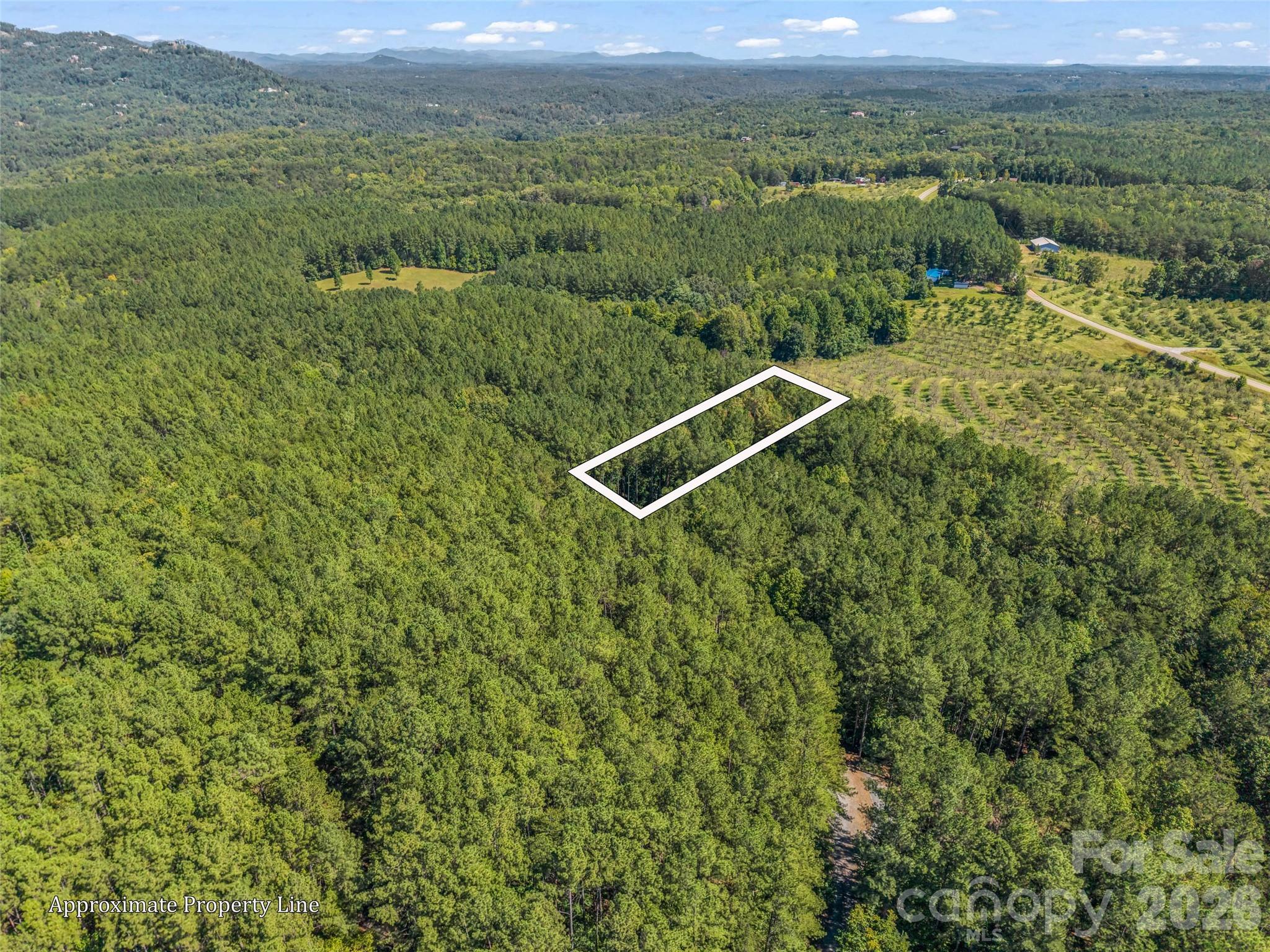 main property photo 37