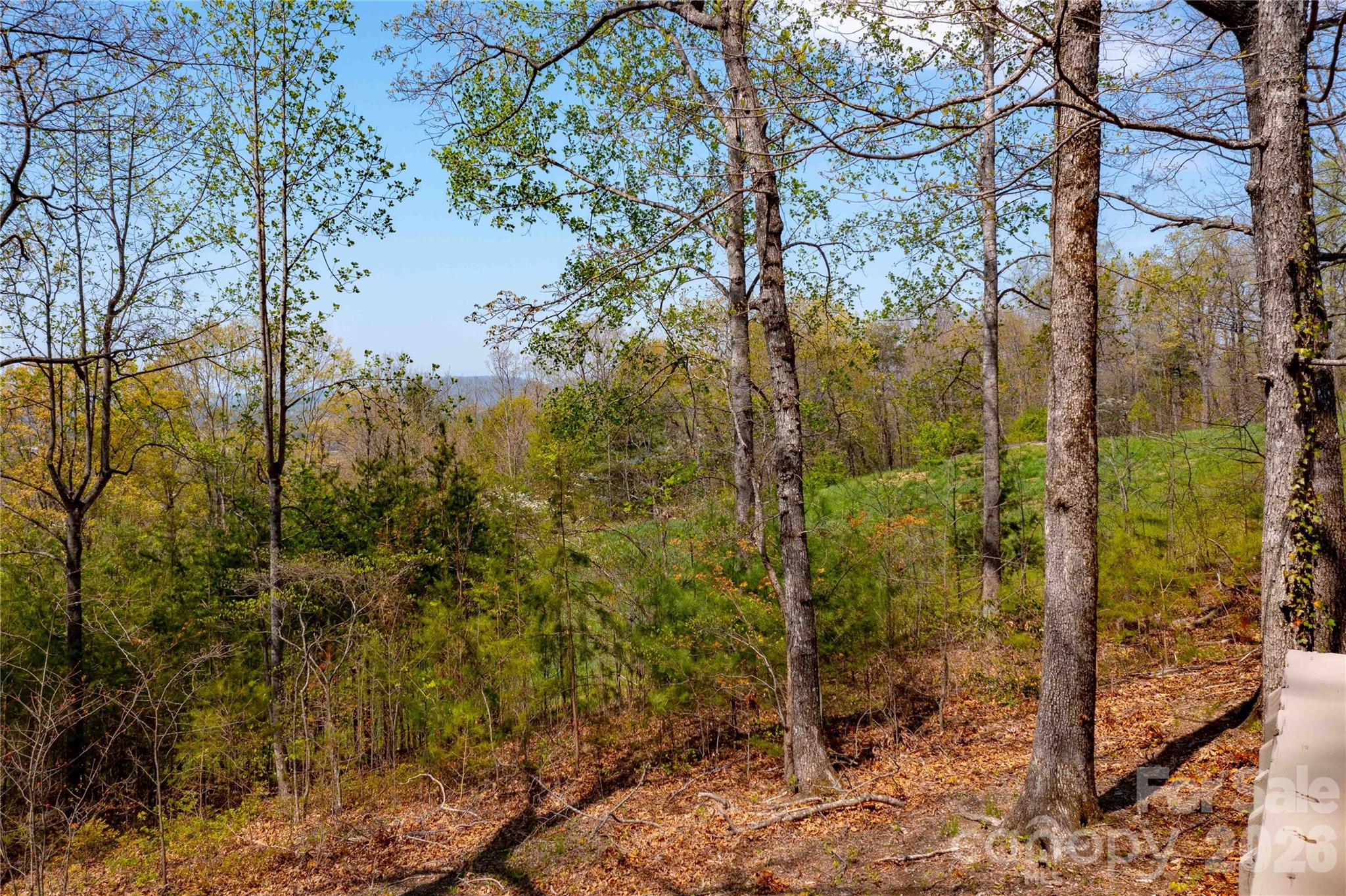 main property photo 34