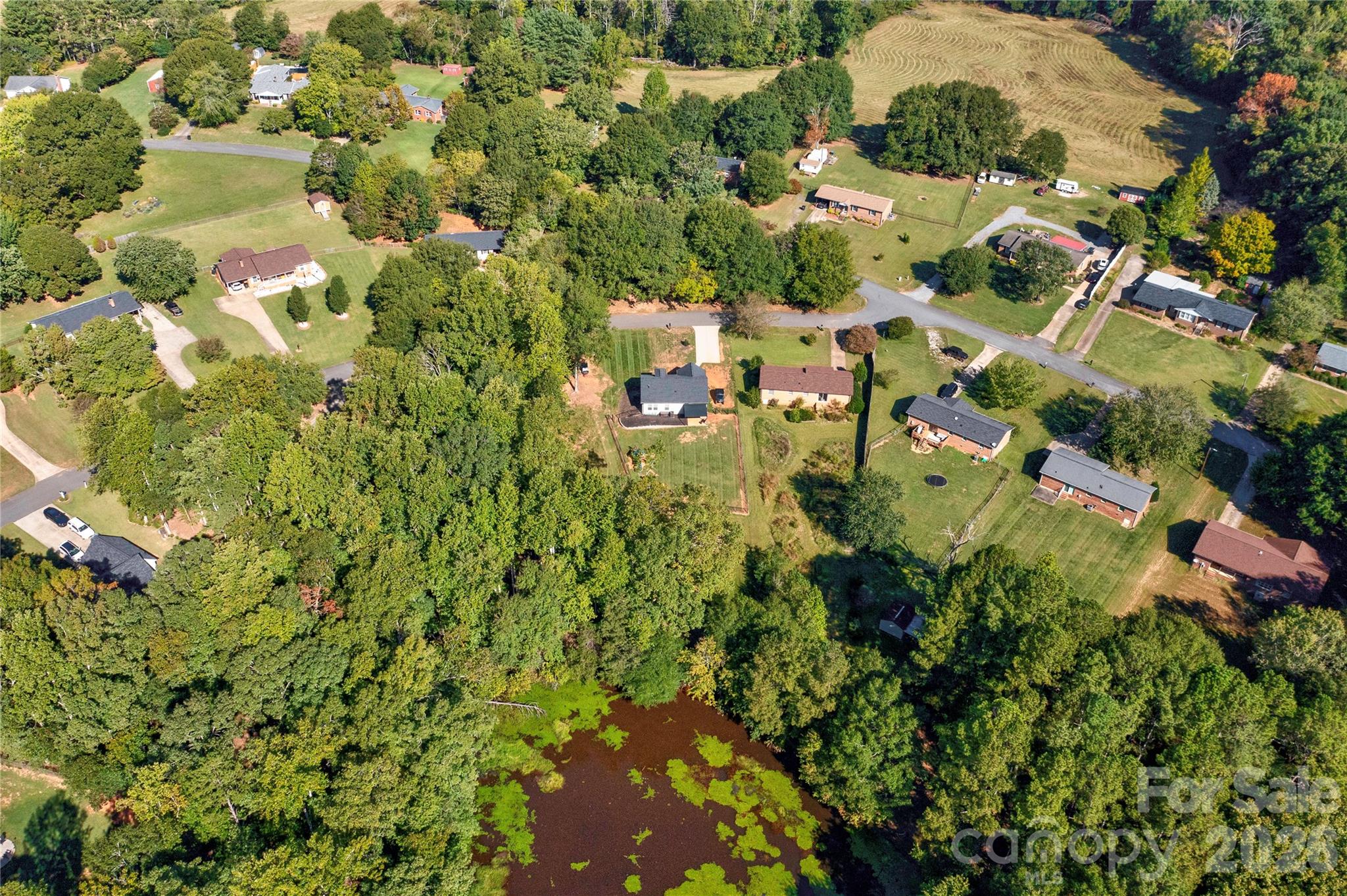 main property photo 42