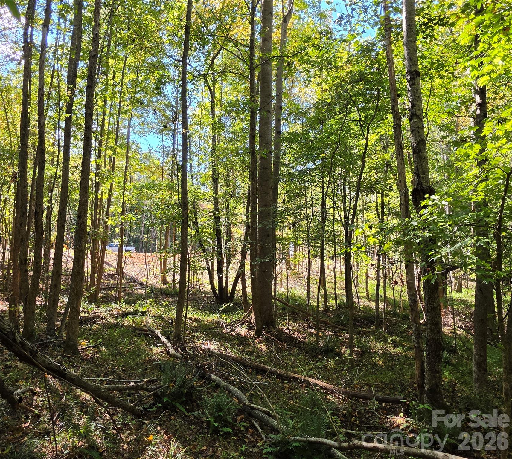 main property photo 19