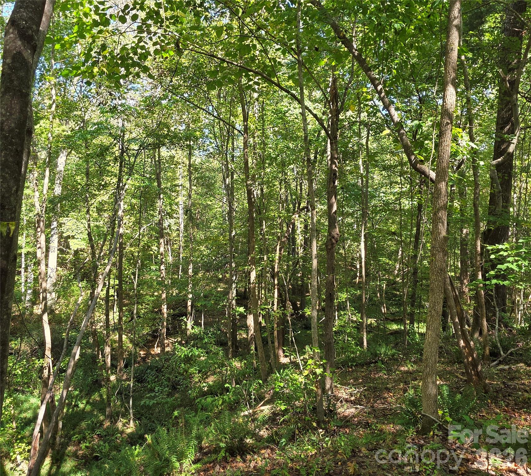 main property photo 20