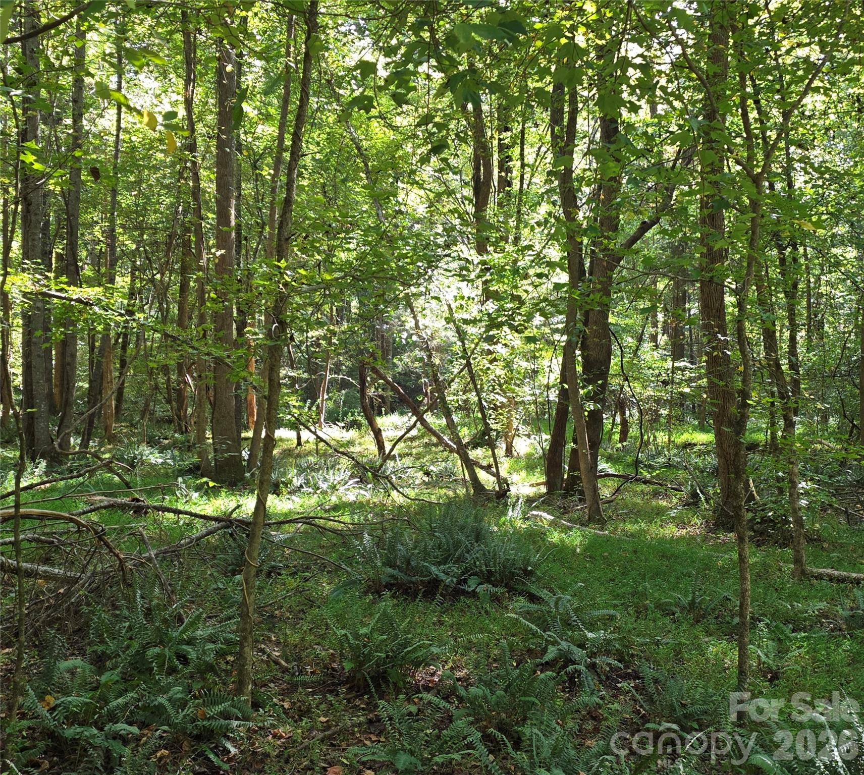 main property photo 26