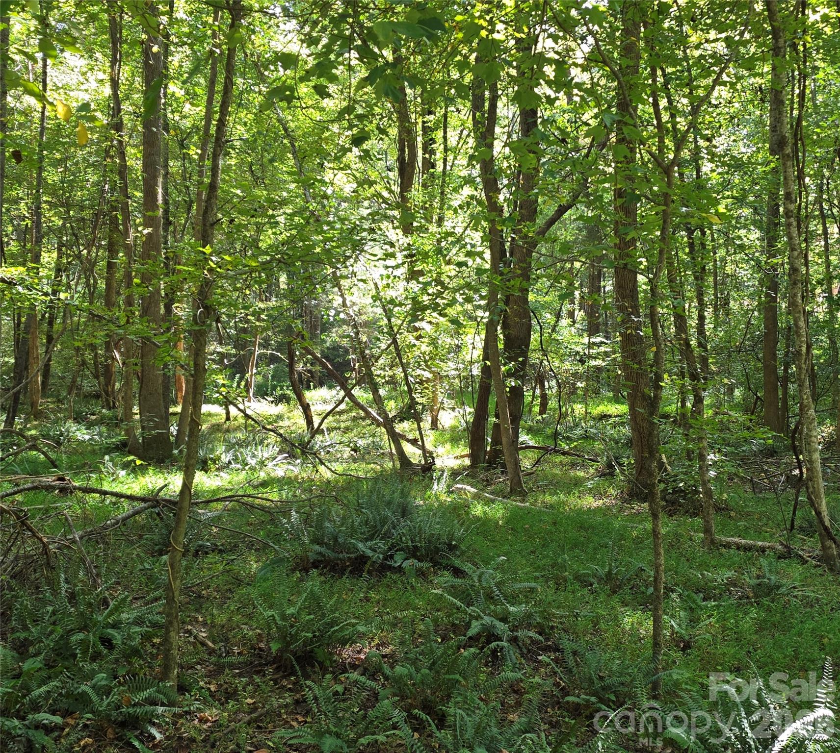 main property photo 27