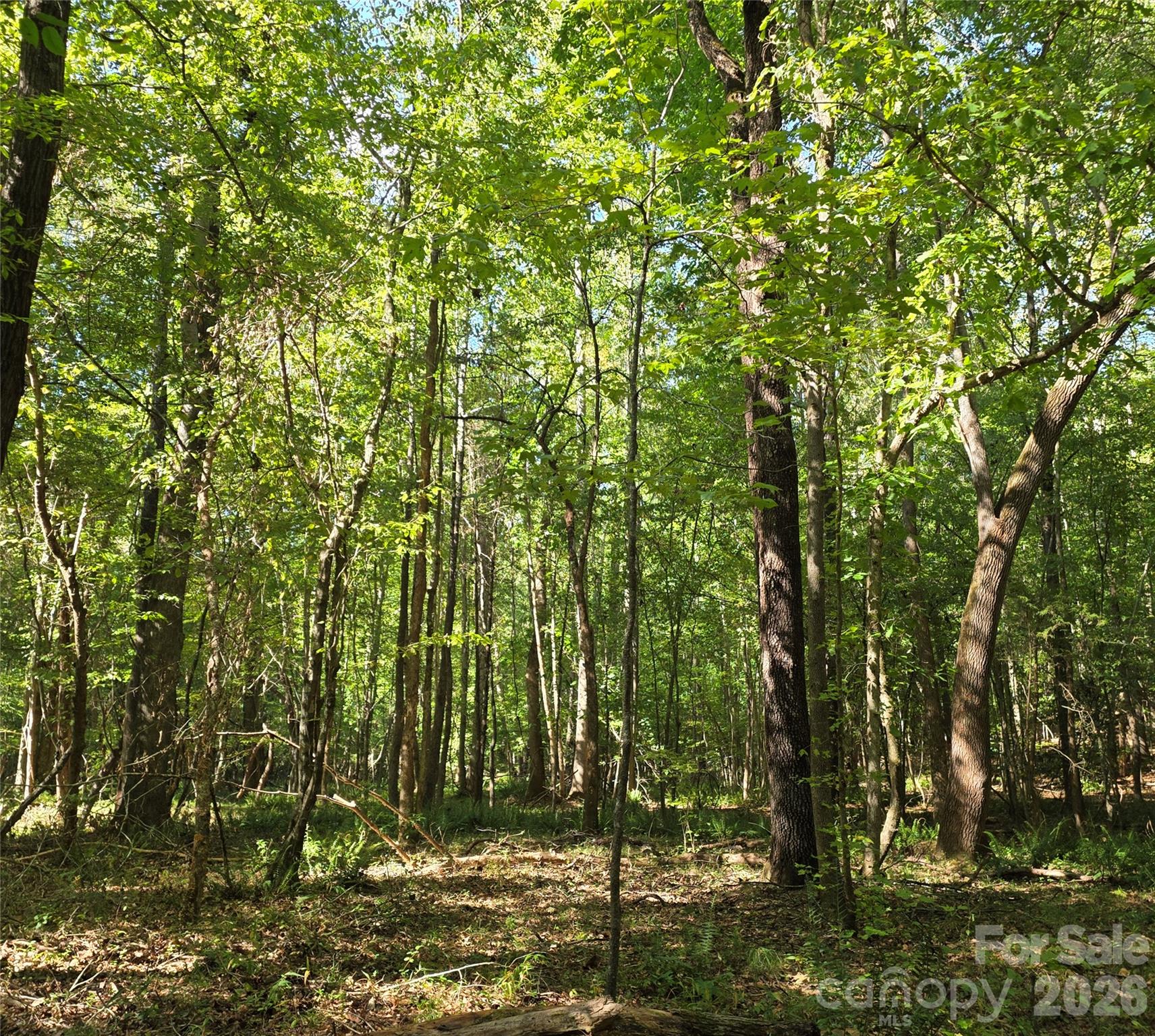 main property photo 29