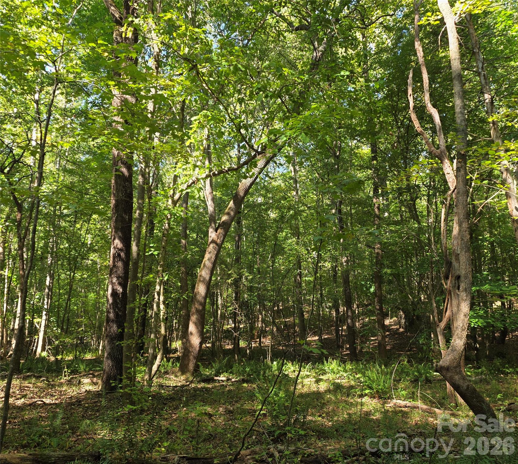 main property photo 30