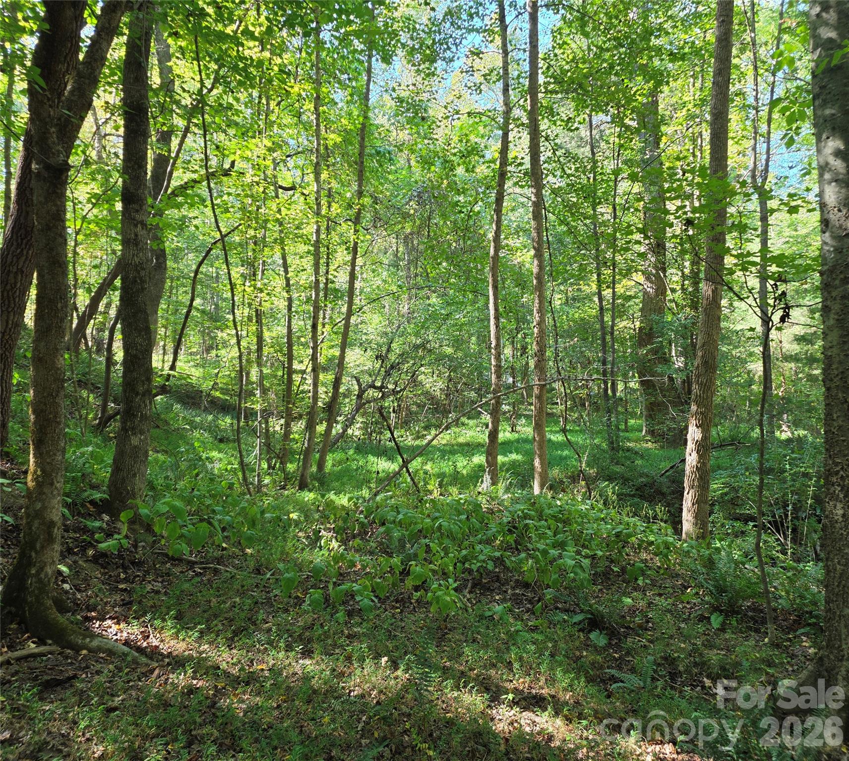 main property photo 32