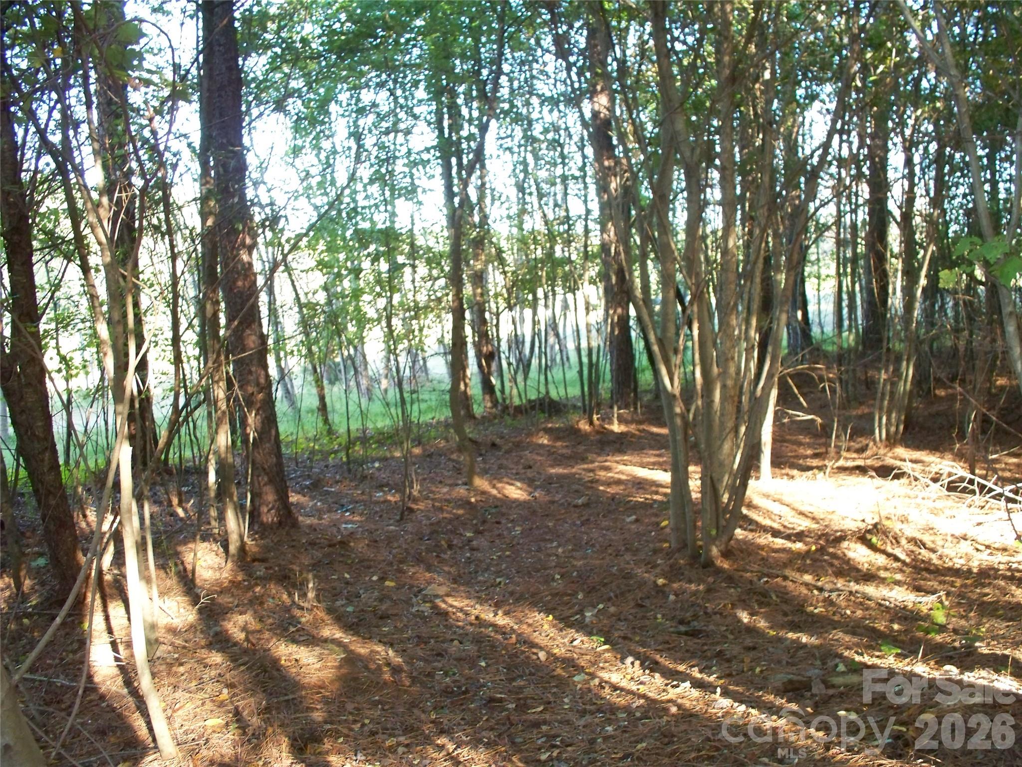 main property photo 40