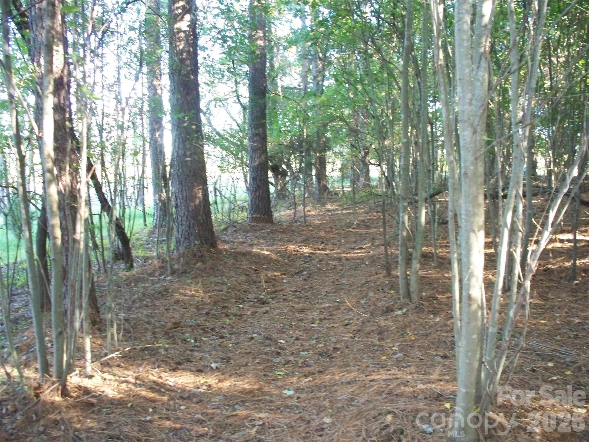 main property photo 41