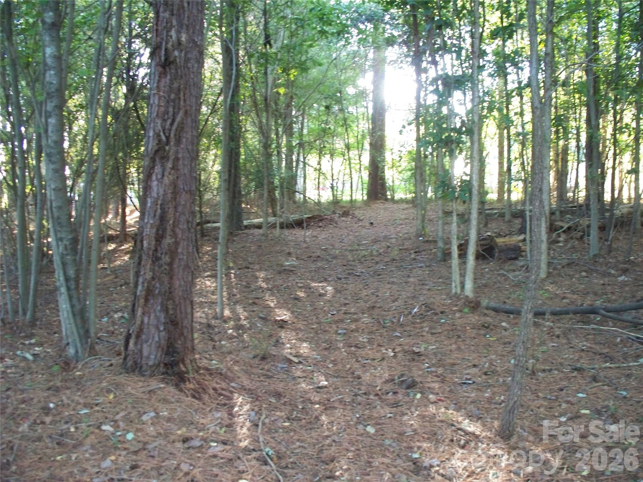 main property photo 42