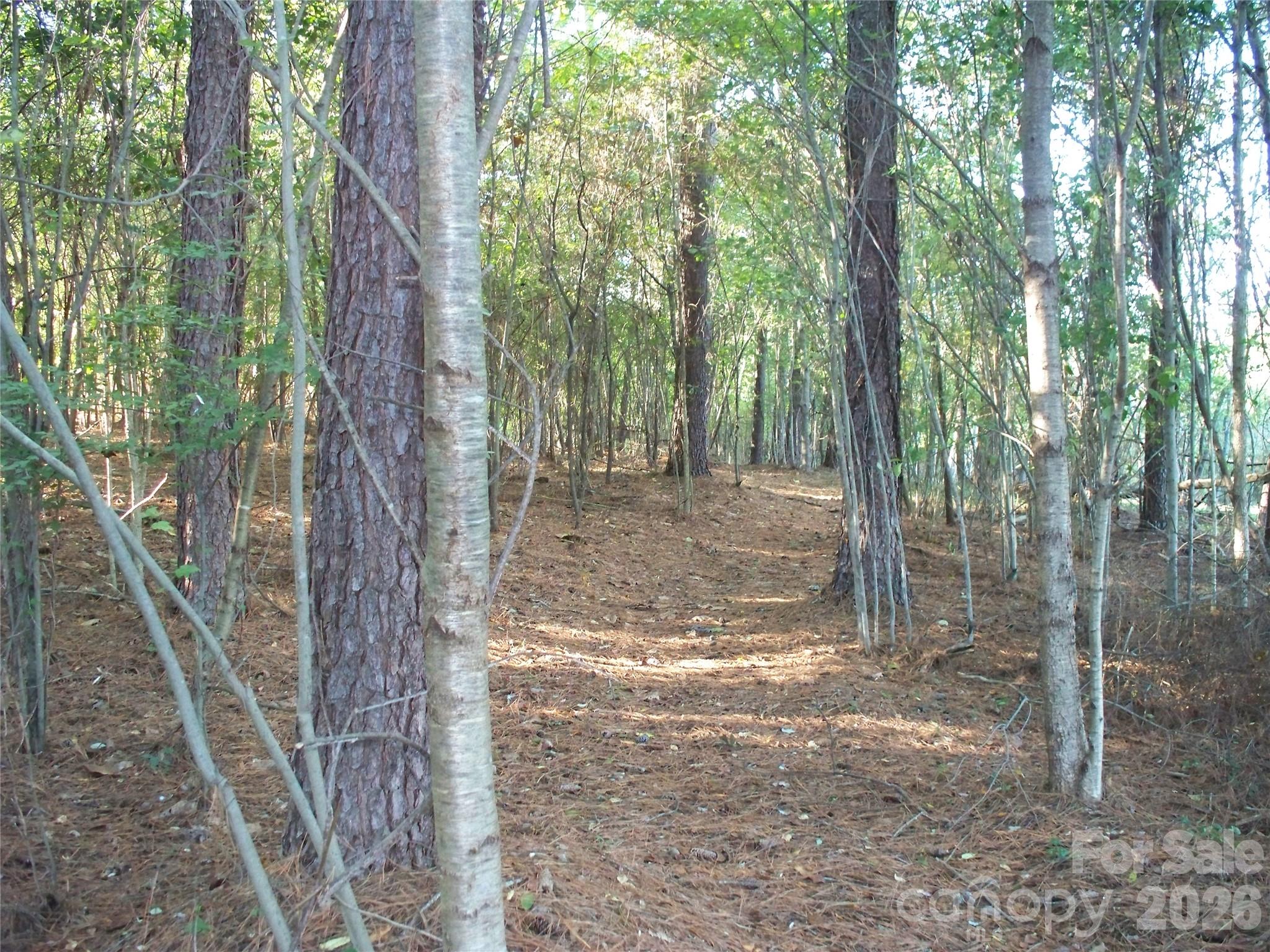 main property photo 43