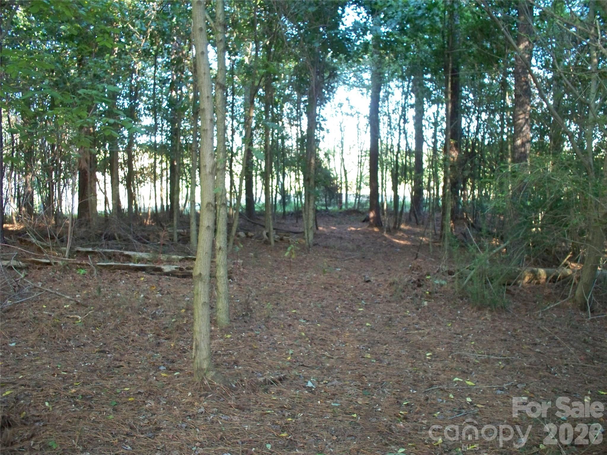 main property photo 44