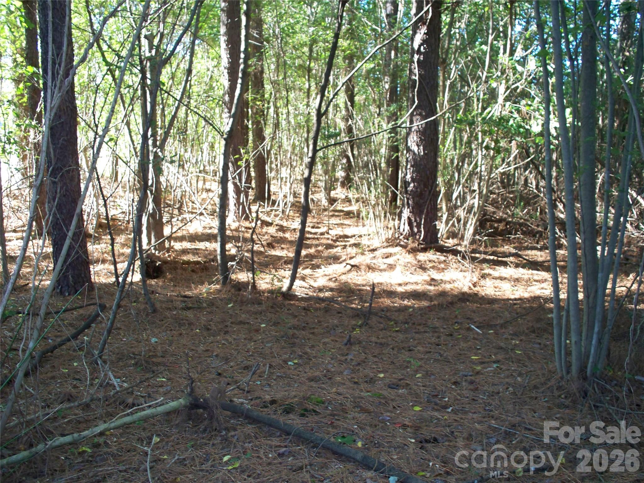main property photo 45